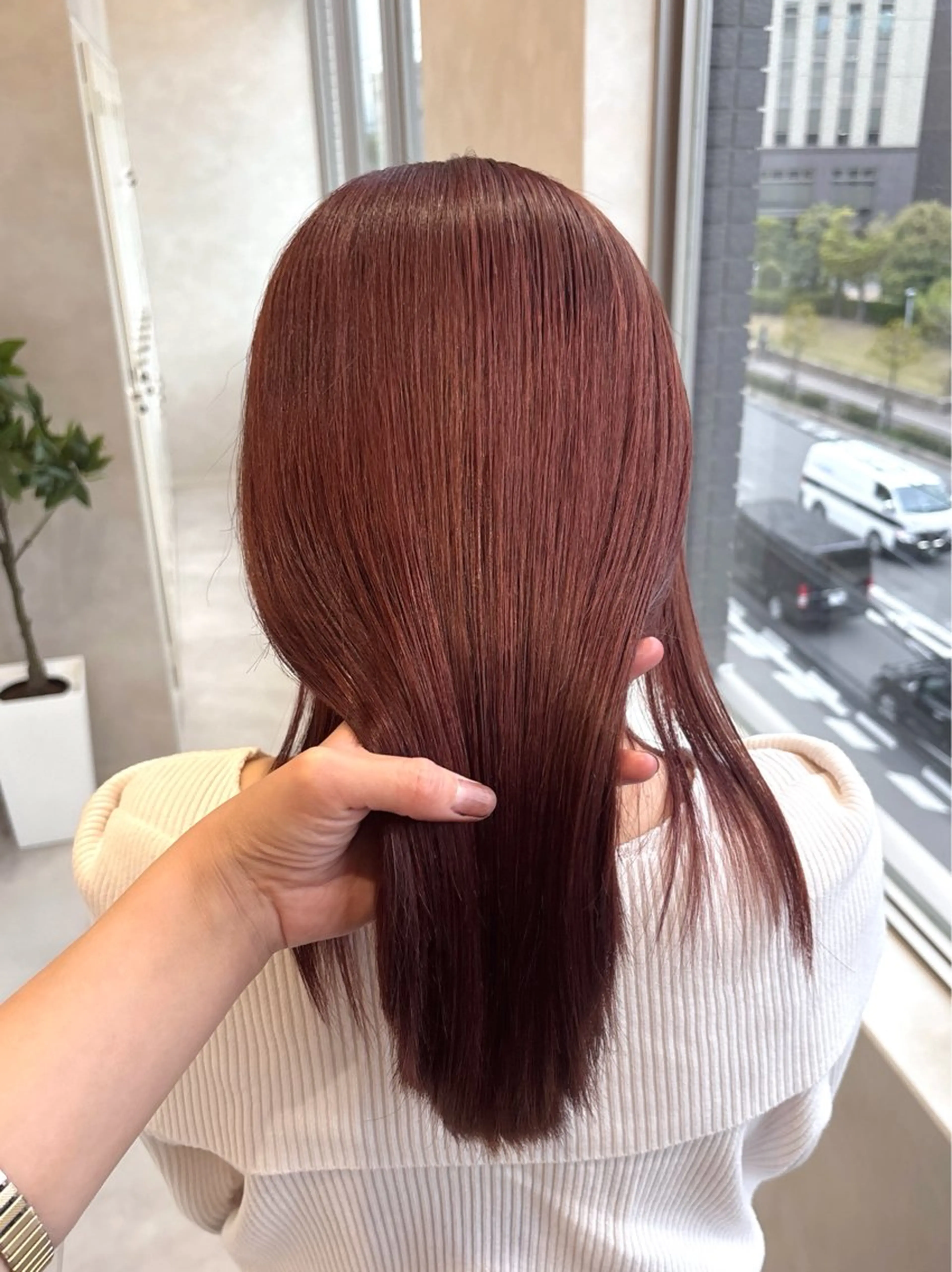 カラー ❤️🐩* AKANE*🐩❤️のヘアスタイル