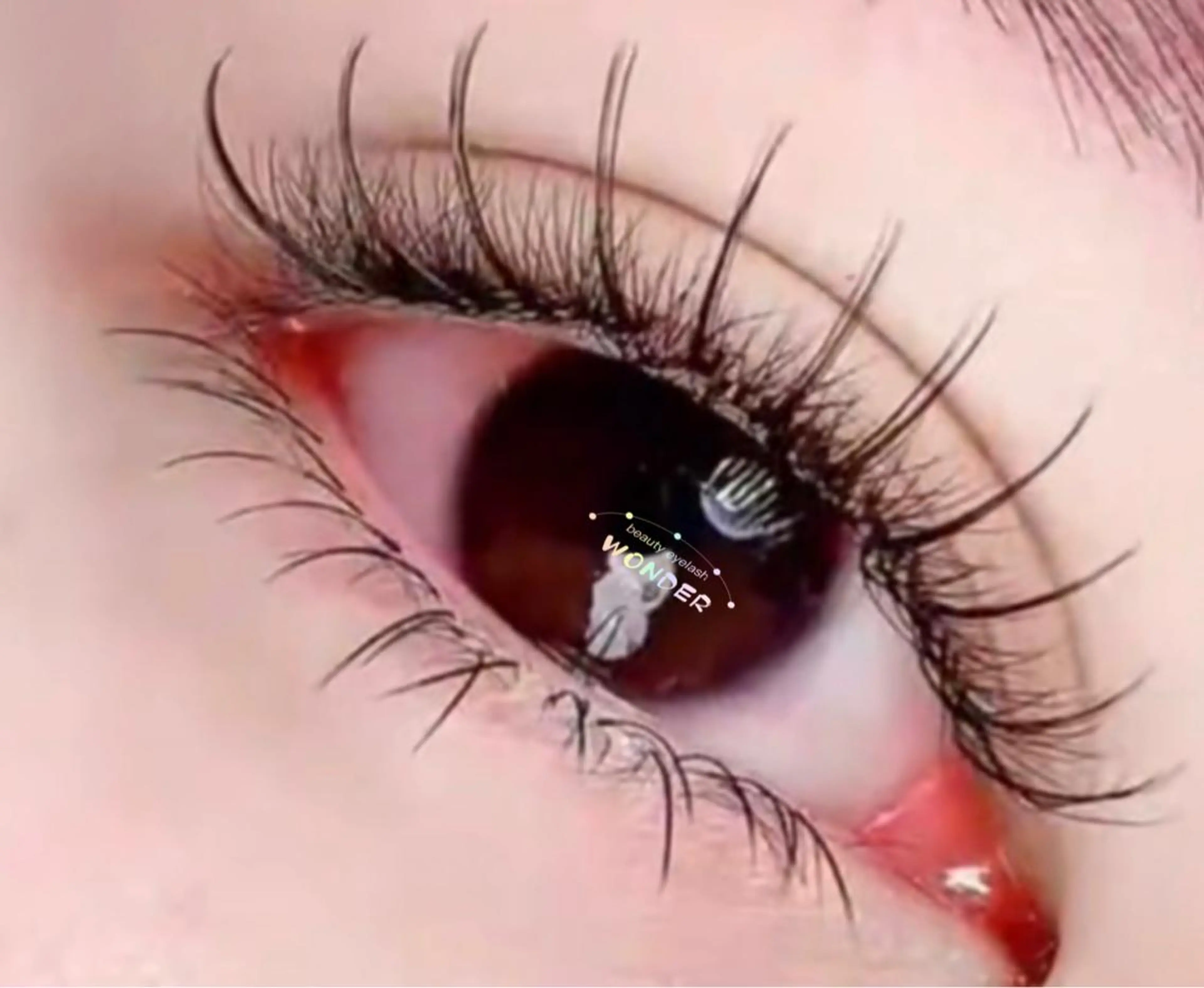 マツエク・マツパ トータルビューティー サロンワンダーのマツエク・マツパデザイン