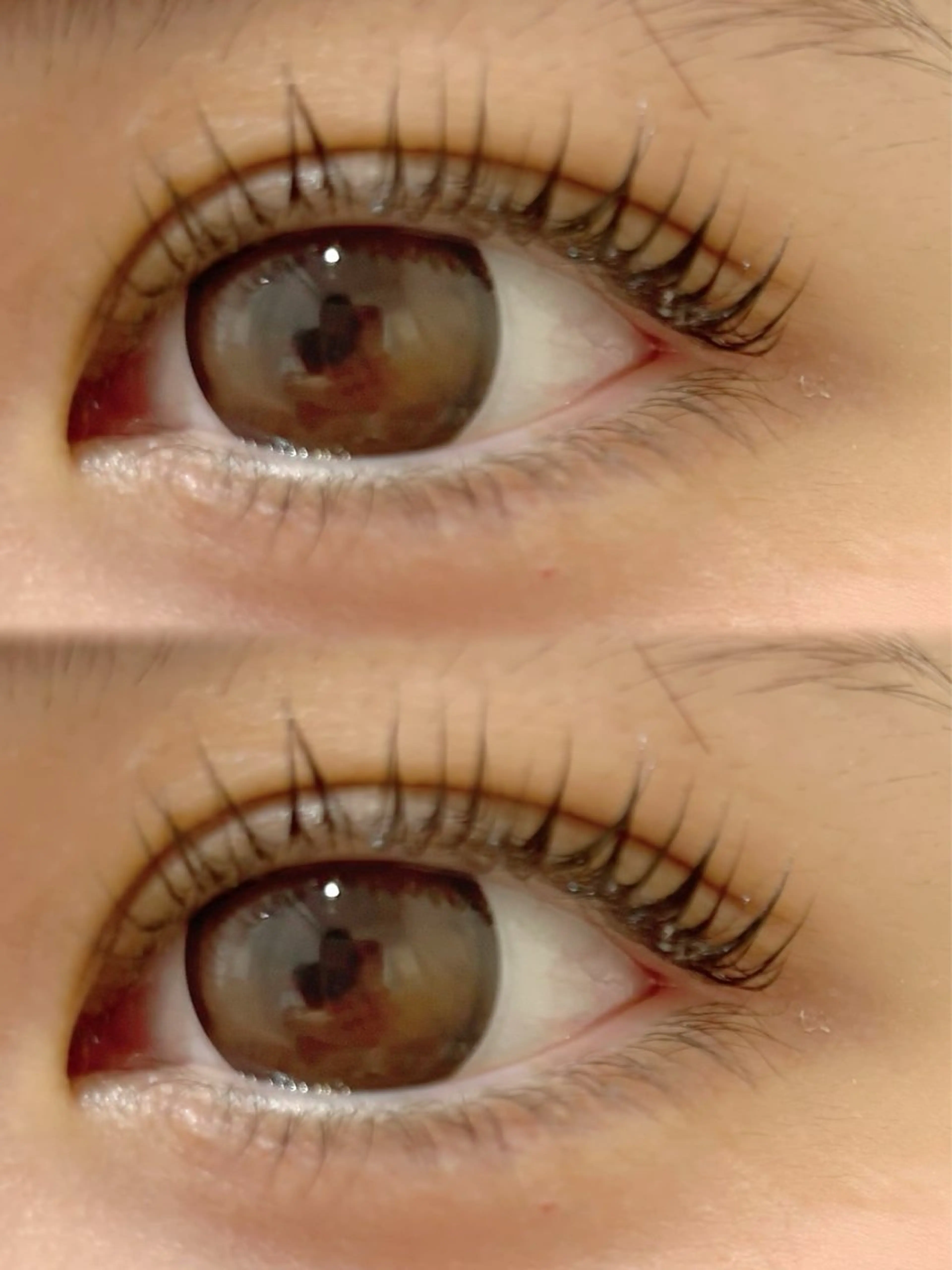 🎀無料パリジェンヌ+美容液コーティングの写真