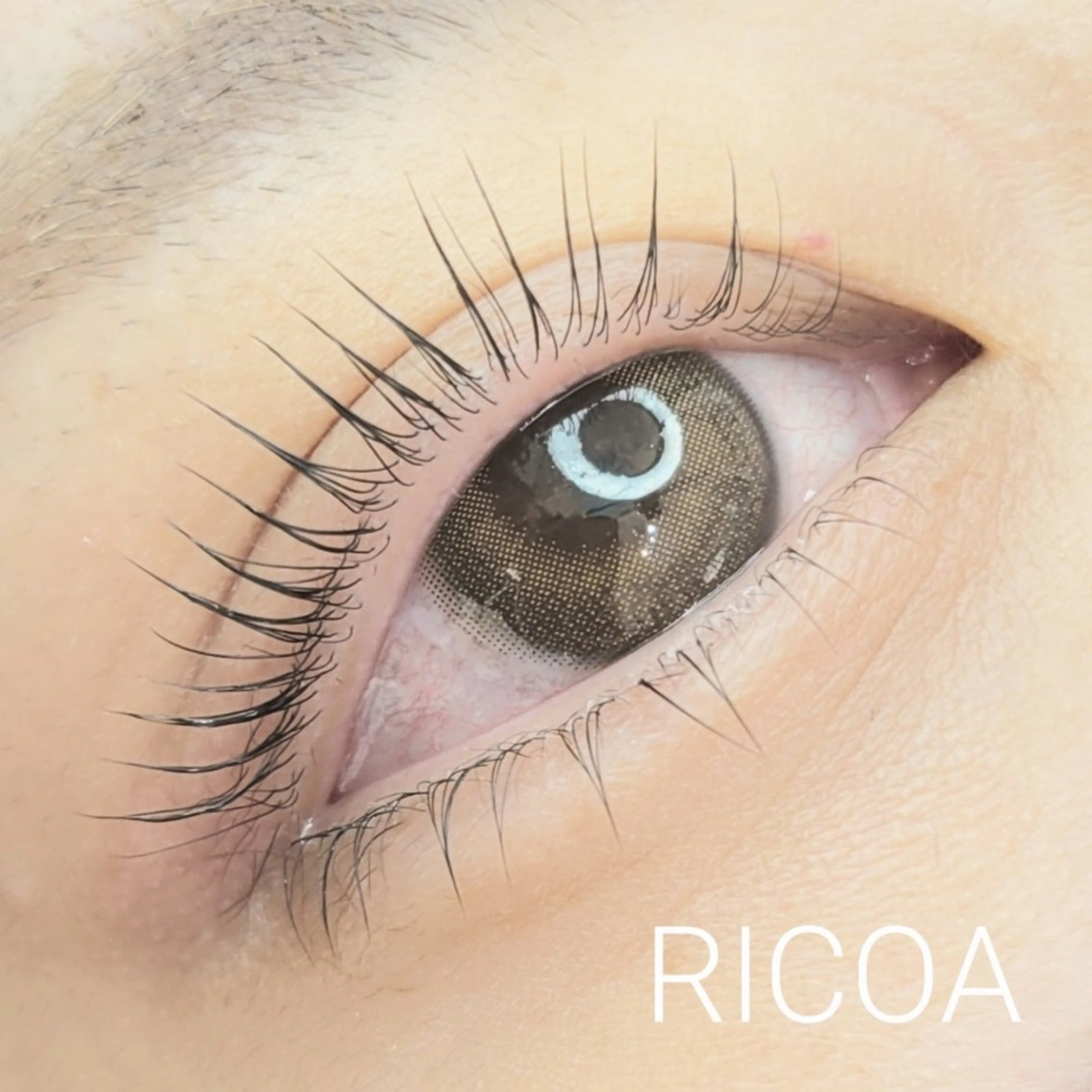 マツエク・マツパ 下まつげエクステ 一重×まつ毛パーマ マツパ RICOA 酒井のマツエク・マツパデザイン