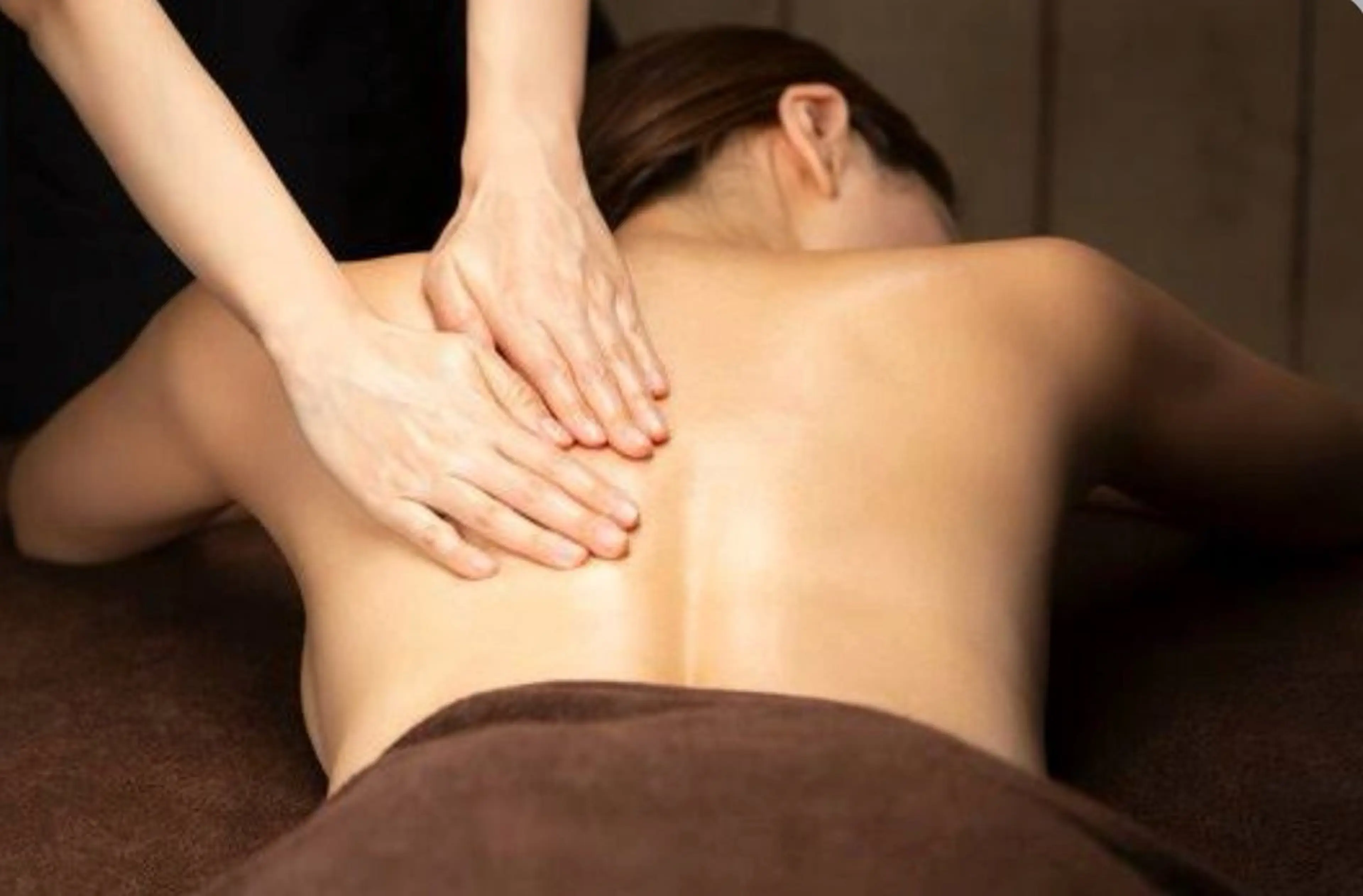 全身バリニーズ 裏面の写真