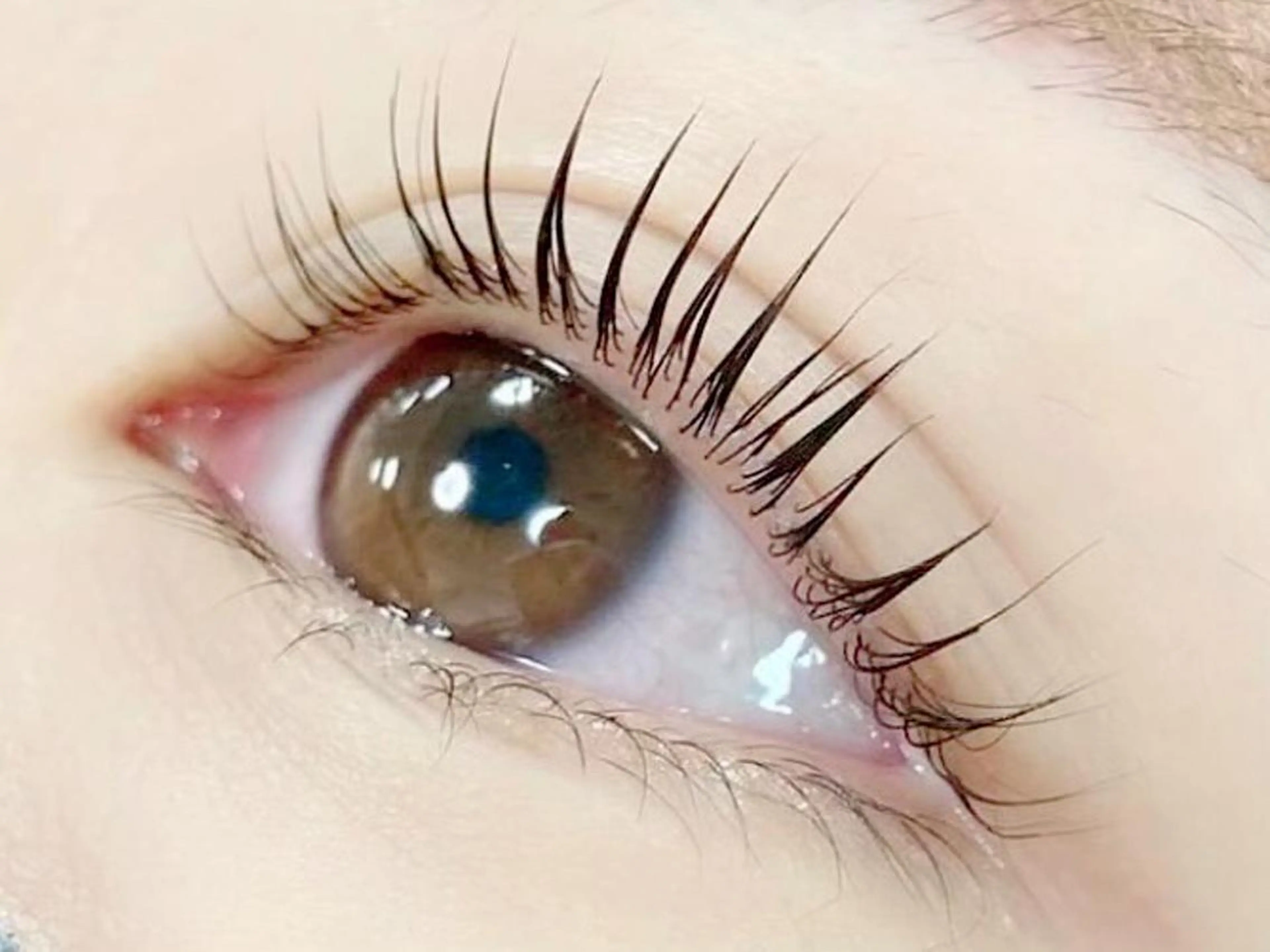 マツエク・マツパ ベリーラッシュ アユの眉毛・アイブロウイメージ