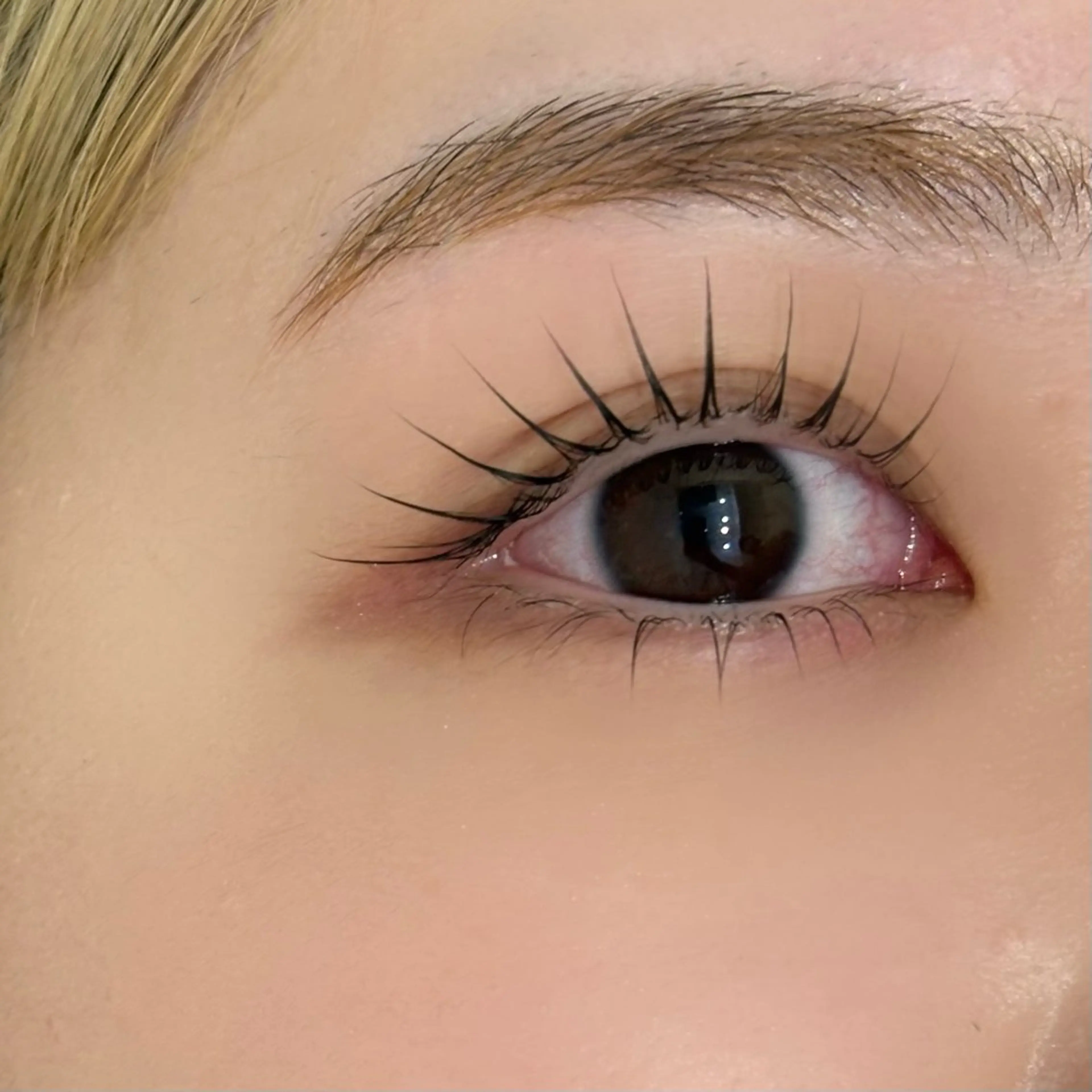 マツエク・マツパ go today shaire salon iris duo店所属・表参道eyelist kazuhaのマツエク・マツパデザイン