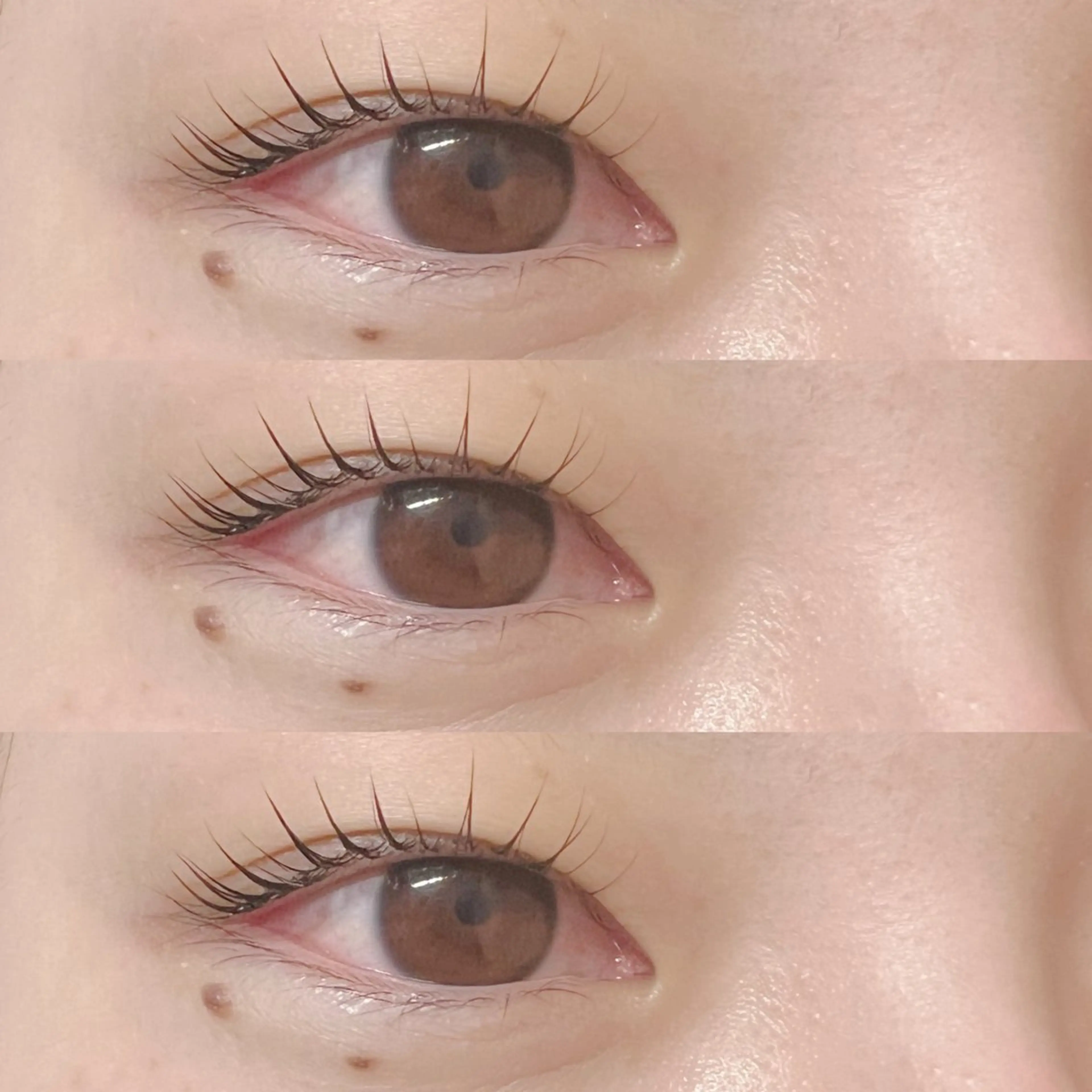‎🤍 上下まつ毛パーマ(コーティング付き)の写真