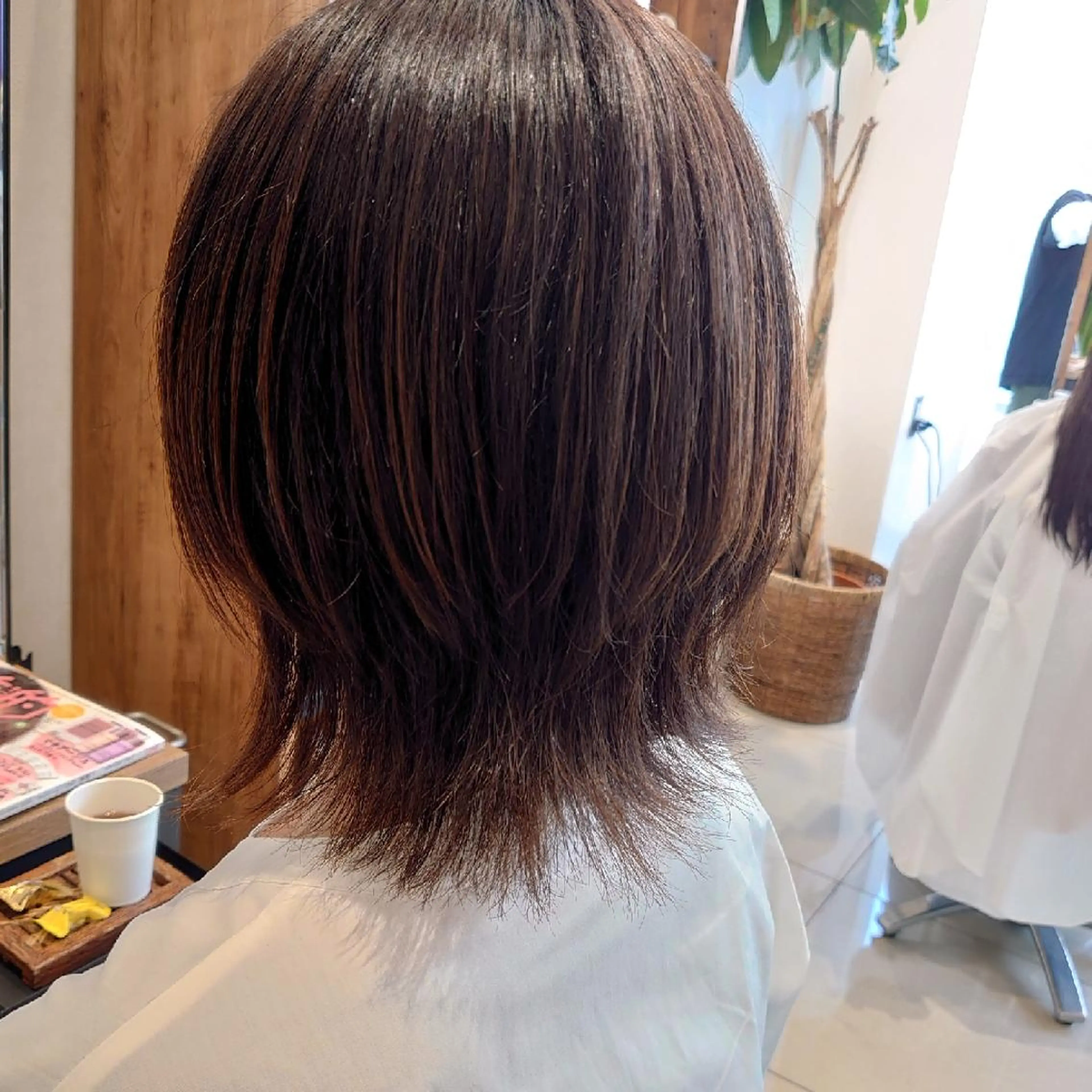 ミディアム ウルフカット カット 髪質改善/ブリーチ 田代 龍我のヘアスタイル