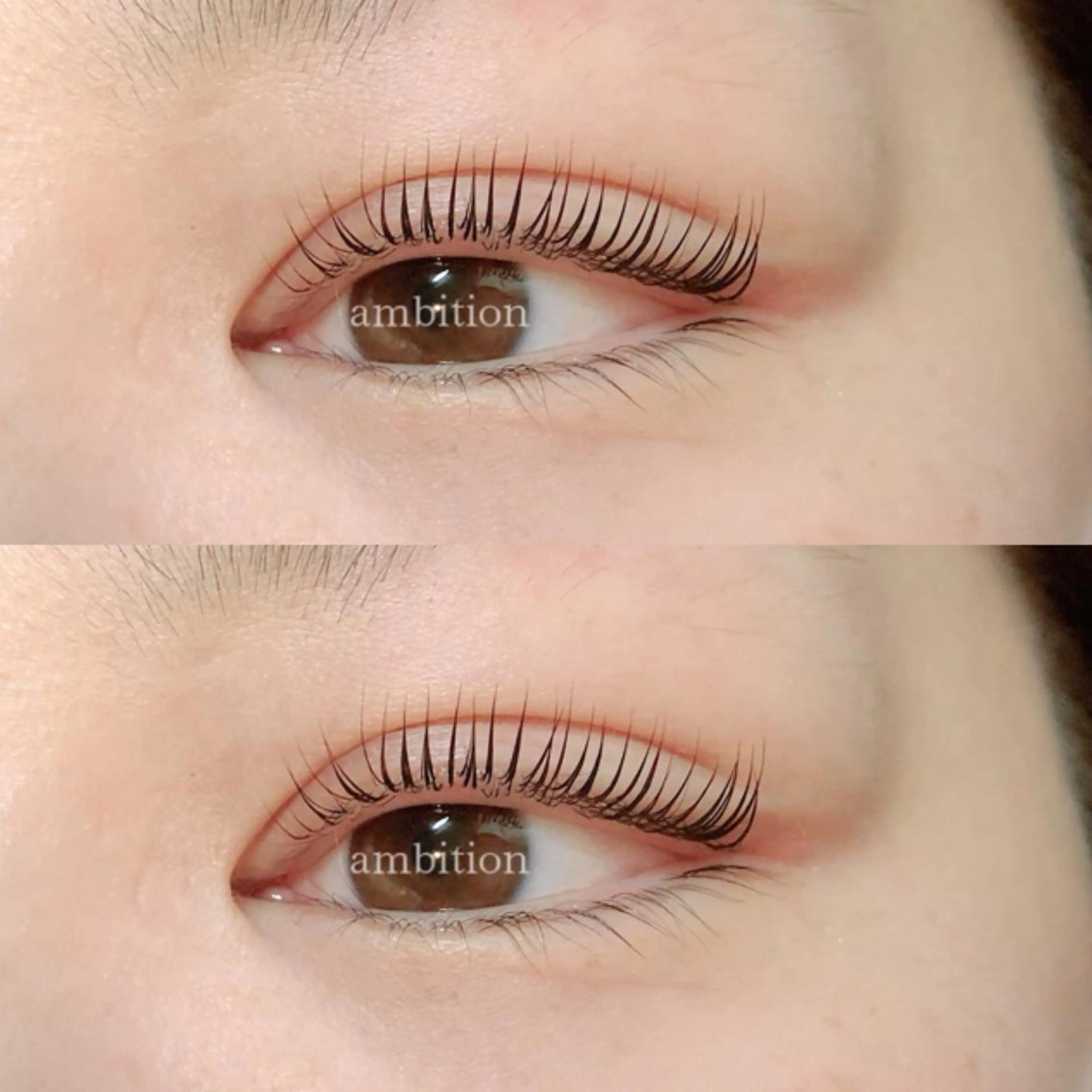 マツエク・マツパ パリジェンヌラッシュリフト デイジーラッシュ 大阪駅前第3ビルのマツエク・マツパデザイン