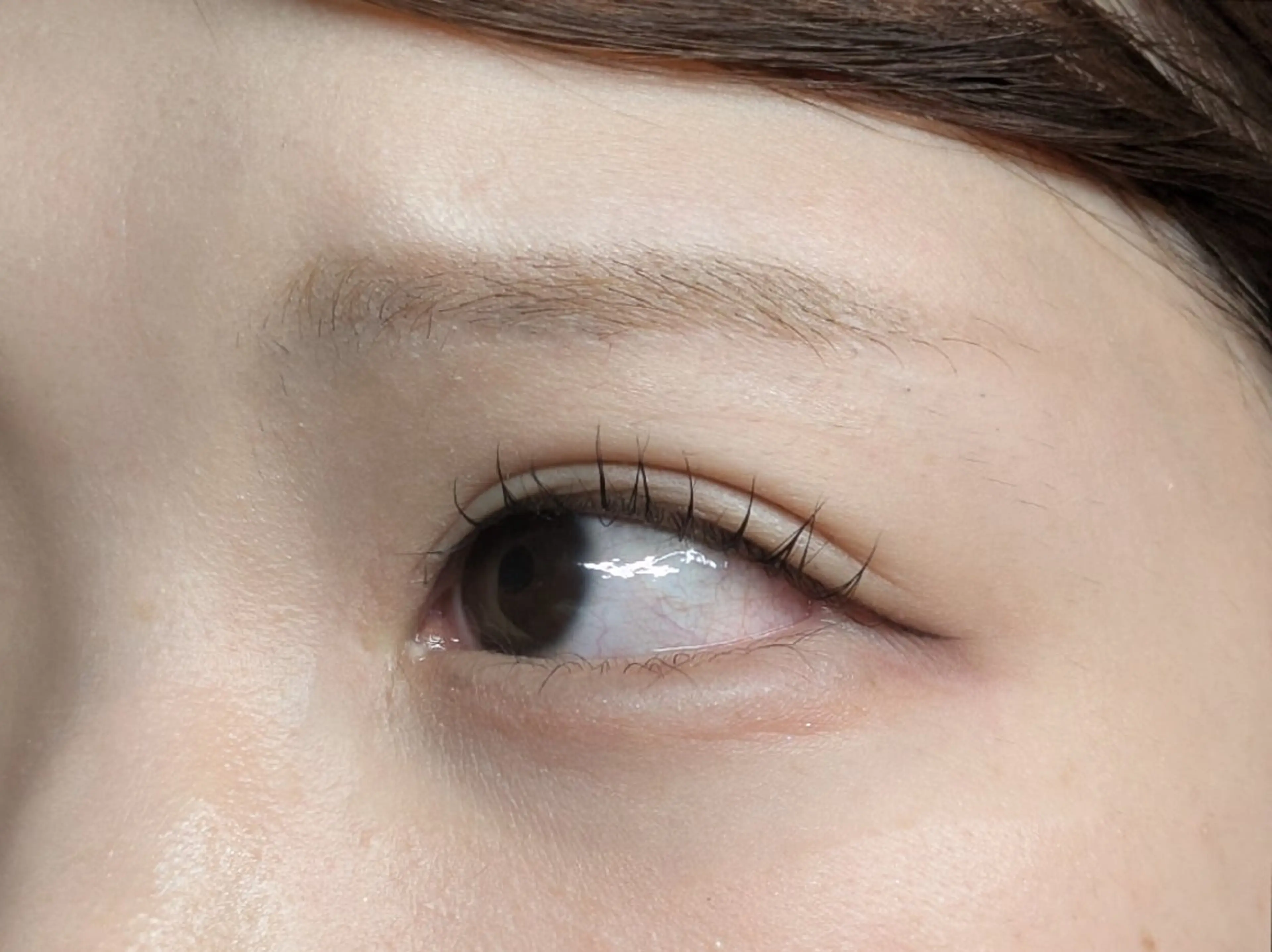 マツエク・マツパ まつげパーマ Sun Brown Ryu-gaのマツエク・マツパデザイン