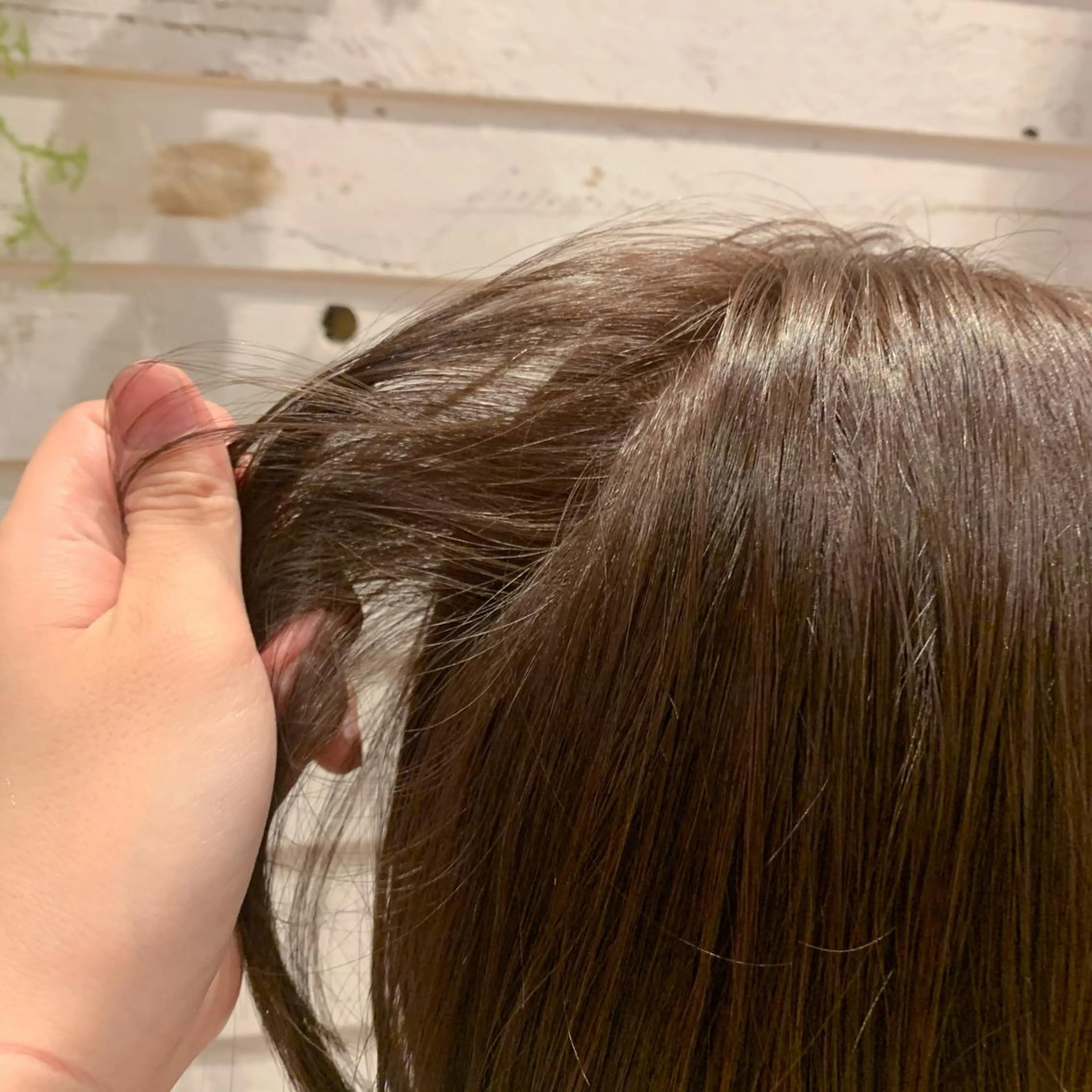 ショート カラー ベージュカラー 透明感カラー フォギーベージュ 🌱小顔ヘア/ボブ ミディアム/双葉🌱のヘアスタイル