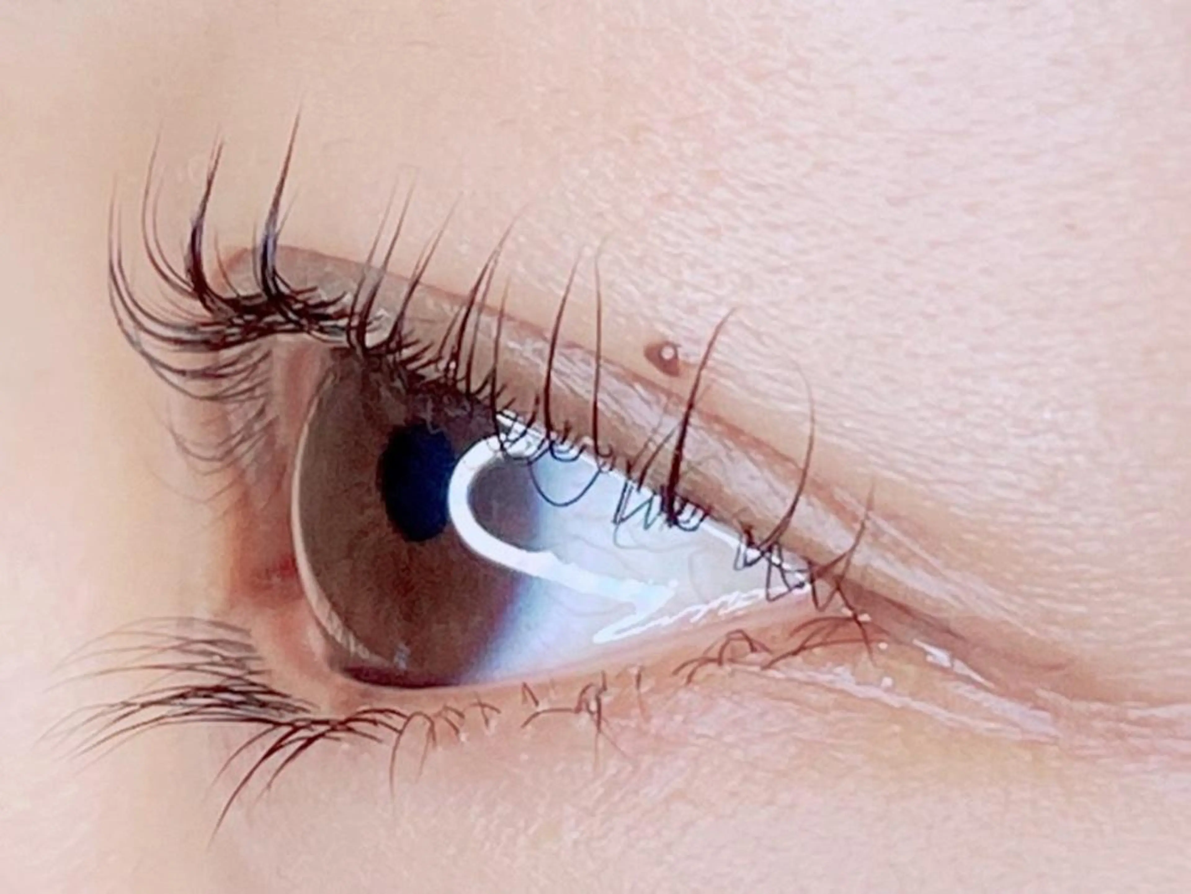 マツエク・マツパ Plumeria Lash 越谷店のマツエク・マツパデザイン