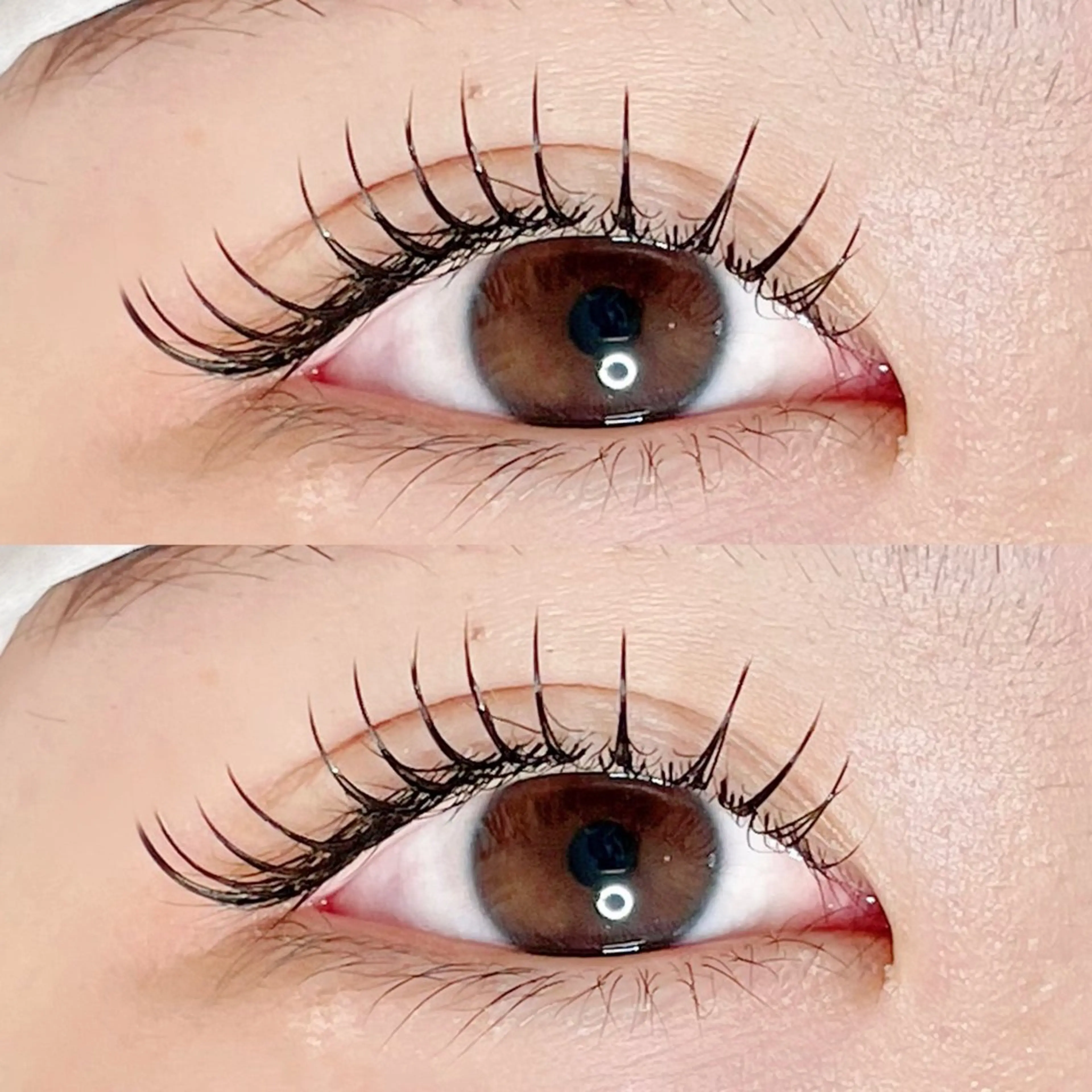 マツエク・マツパ マツエク AYLASH🧡 猪又のマツエク・マツパデザイン