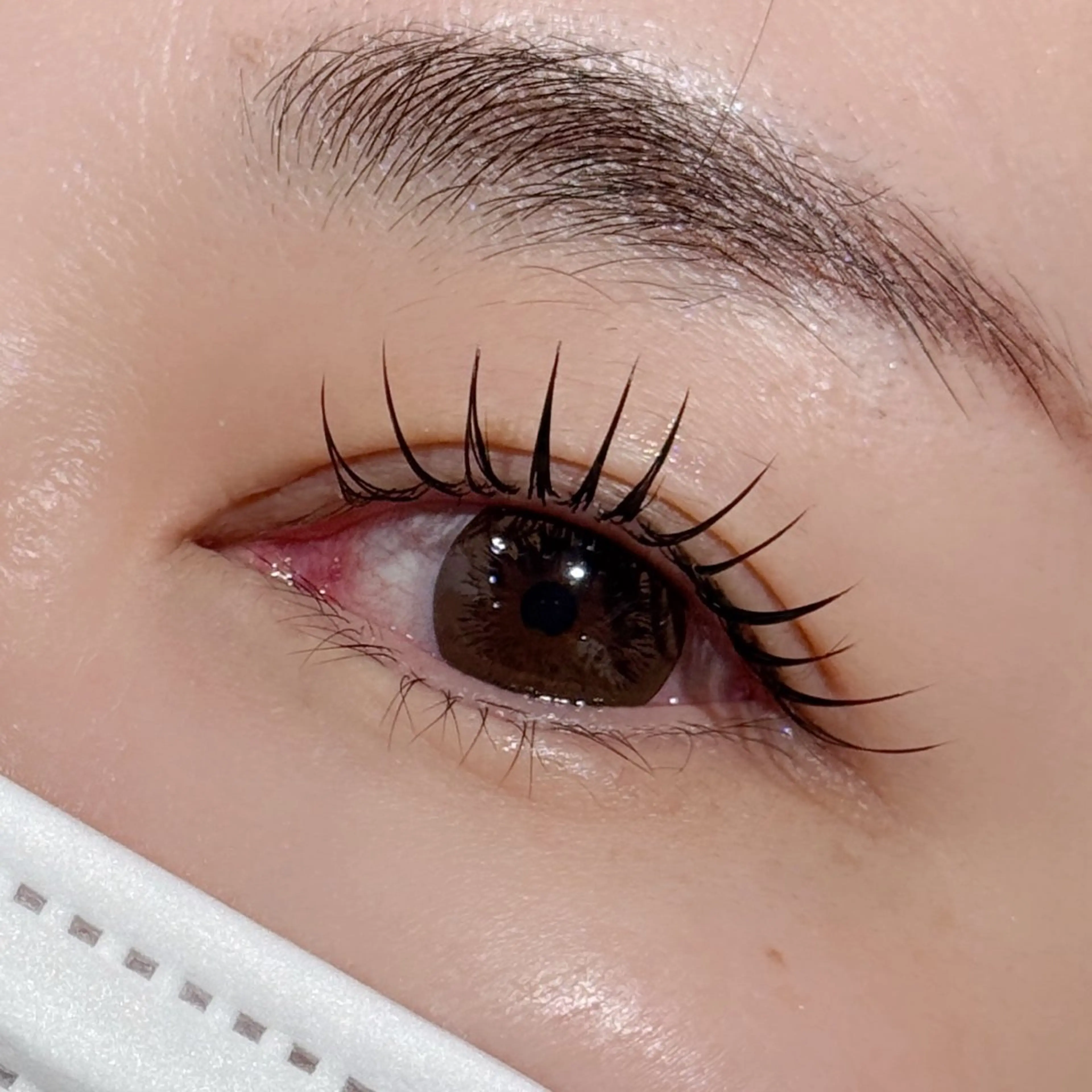 当日限定！【オフなし】 &Healthyマツエク×まつパの最新技術(エクステ80本)の写真