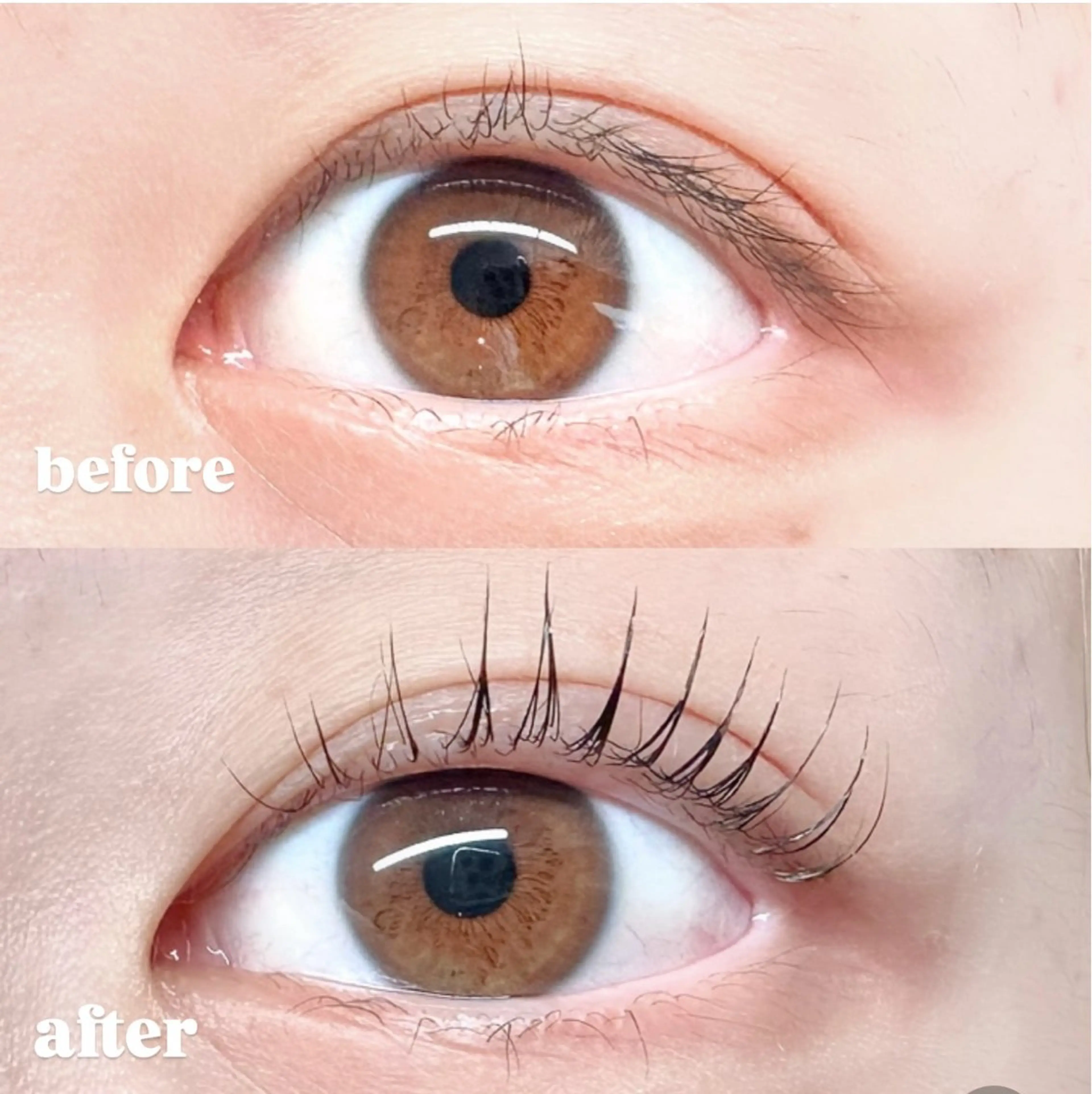 マツエク・マツパ パリジェンヌラッシュリフト 一重×まつ毛パーマ momoka 💕のマツエク・マツパデザイン