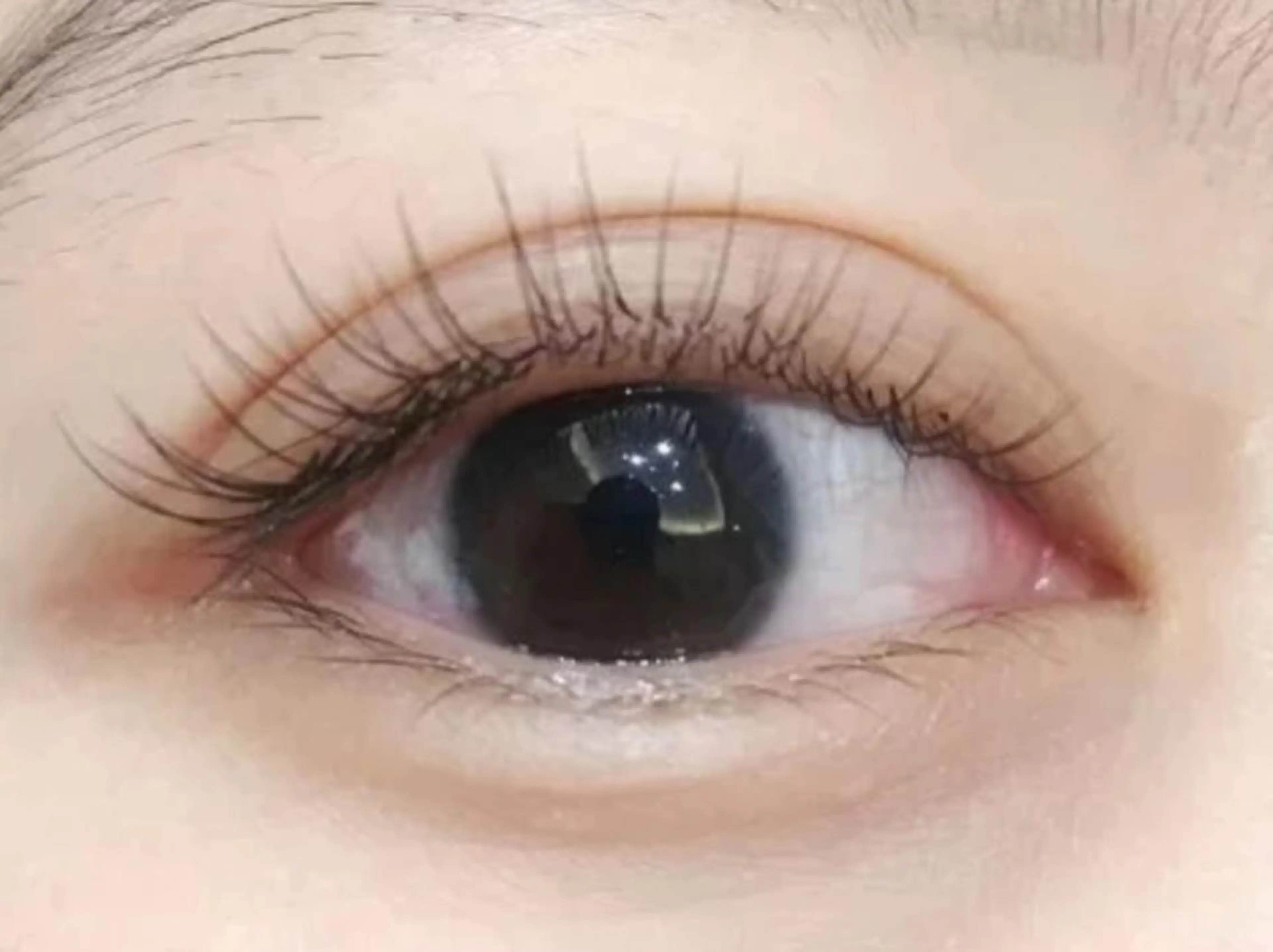 マツエク・マツパ マツエク ベター アイラッシュ MACHIKOのマツエク・マツパデザイン