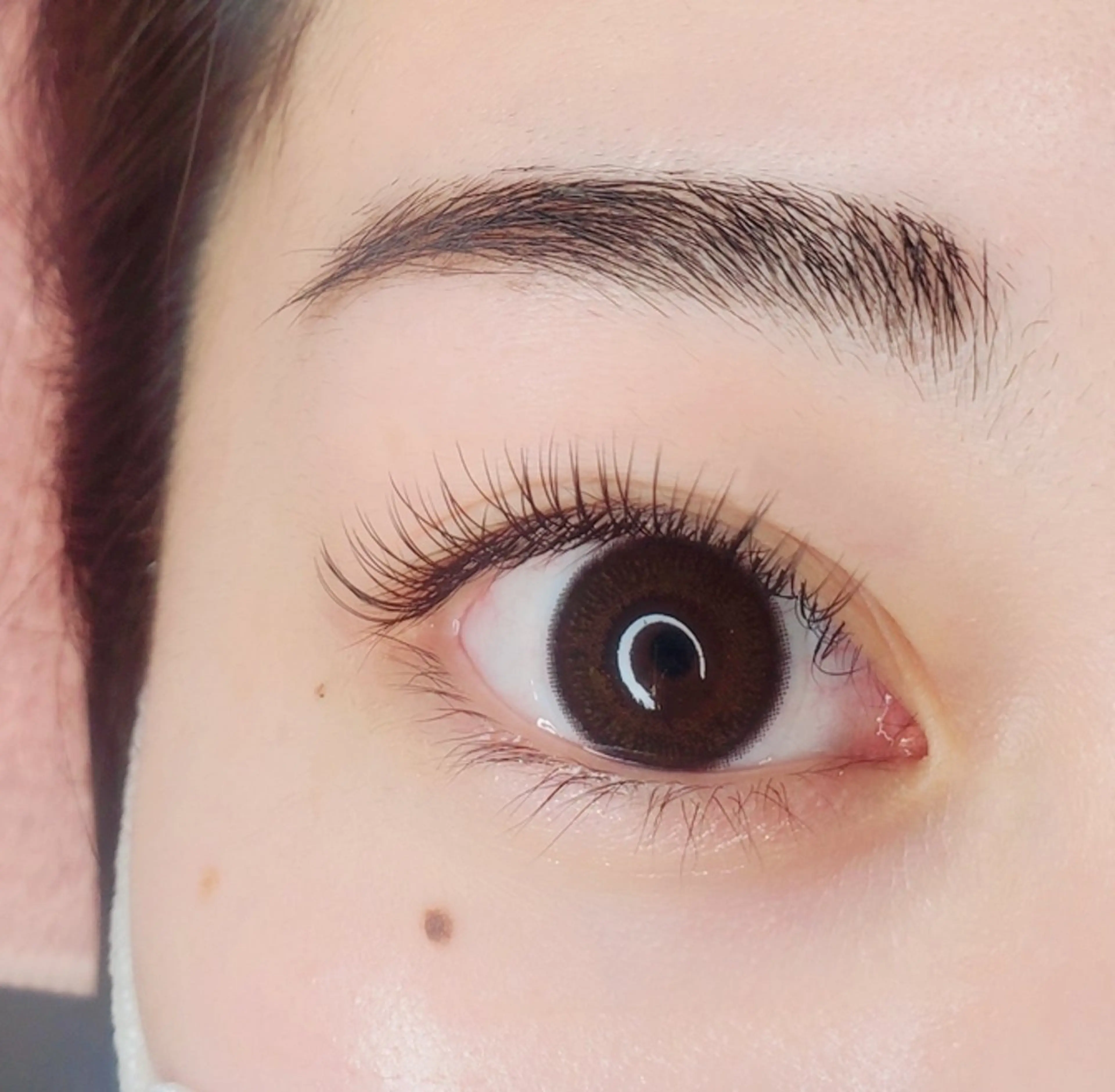 フラットラッシュ 80本の写真