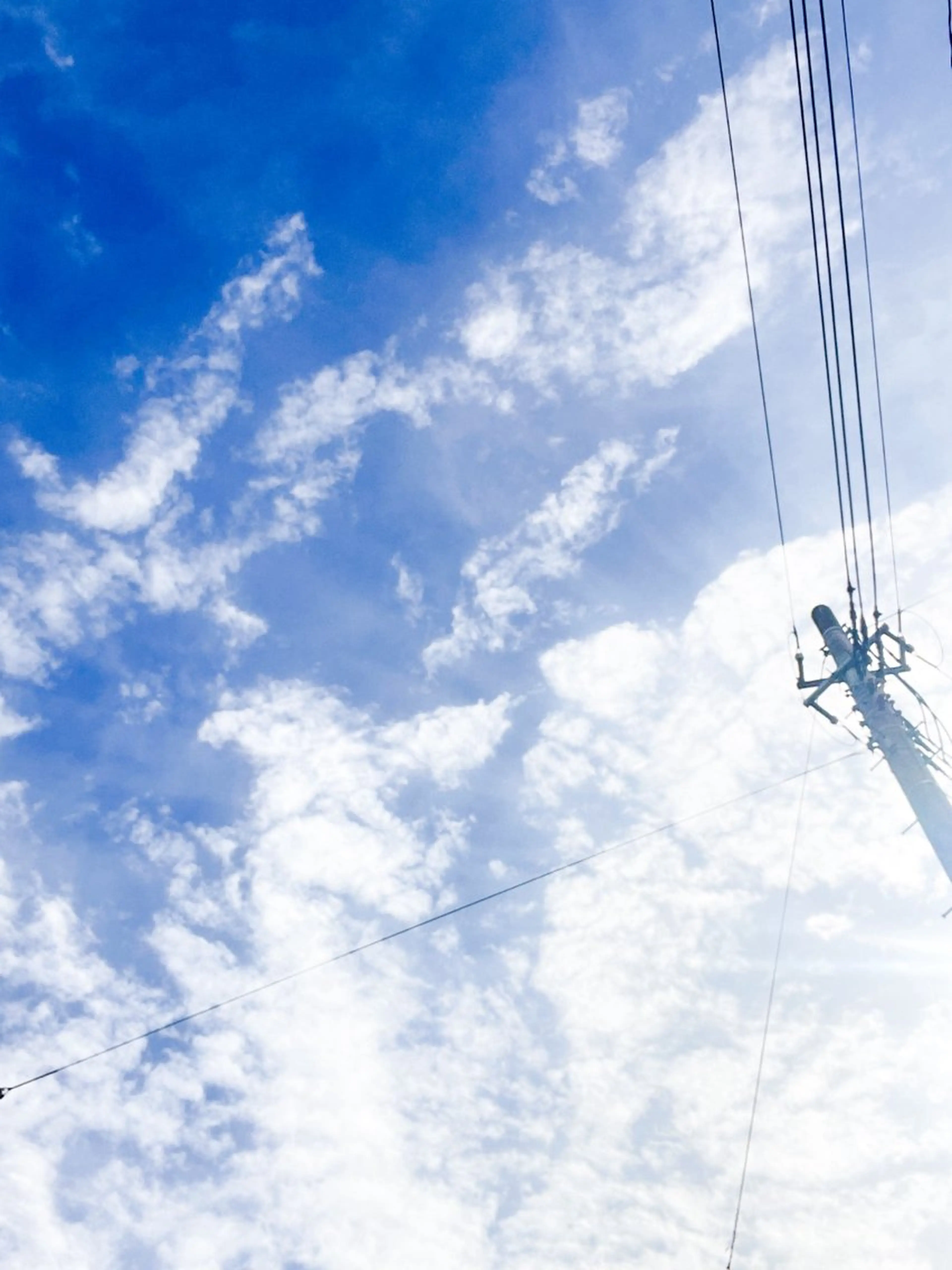 高田馬場店 /ゆづのヘアスタイル