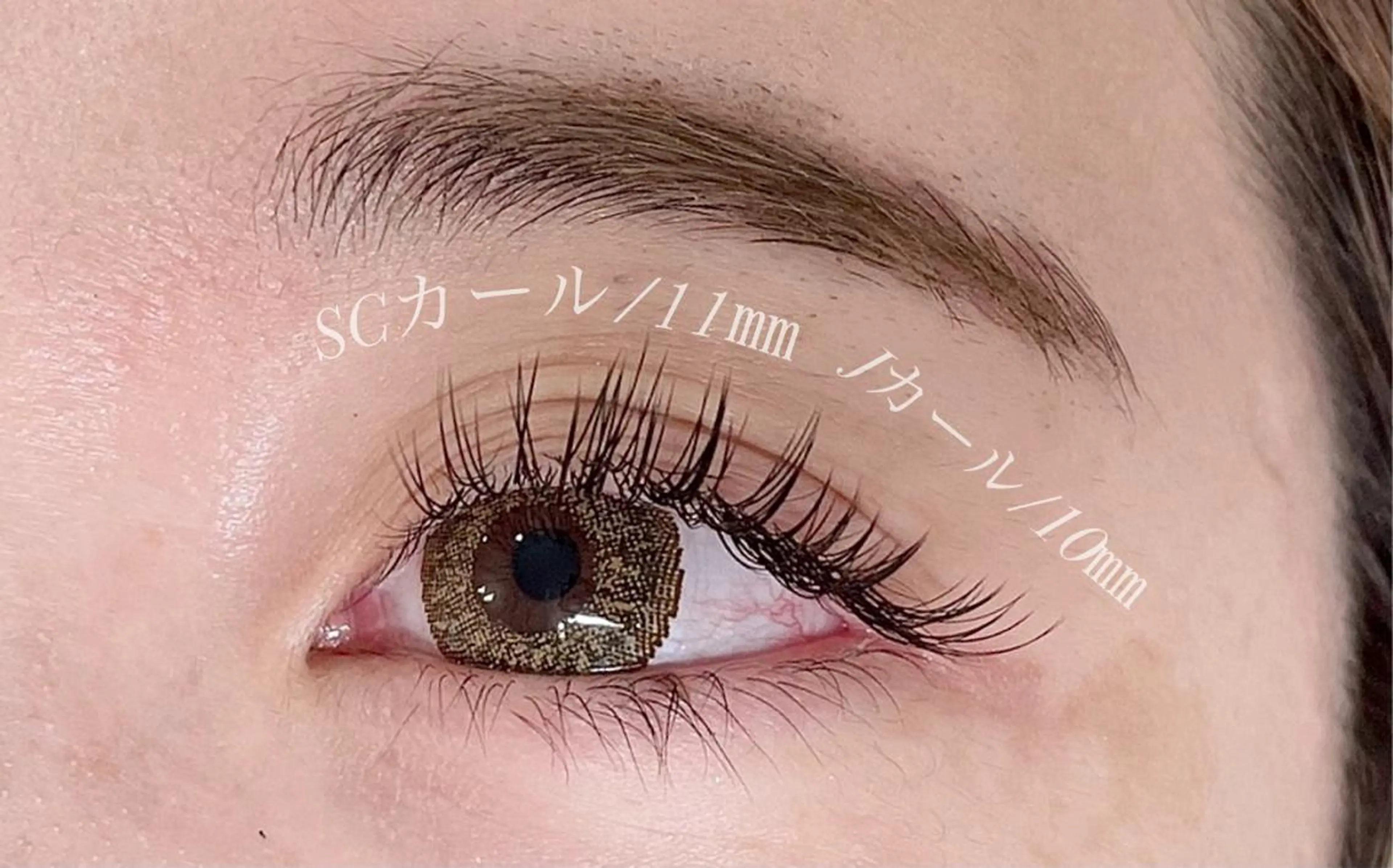 マツエク・マツパ マツエク Pljoul🤍 天満橋のマツエク・マツパデザイン