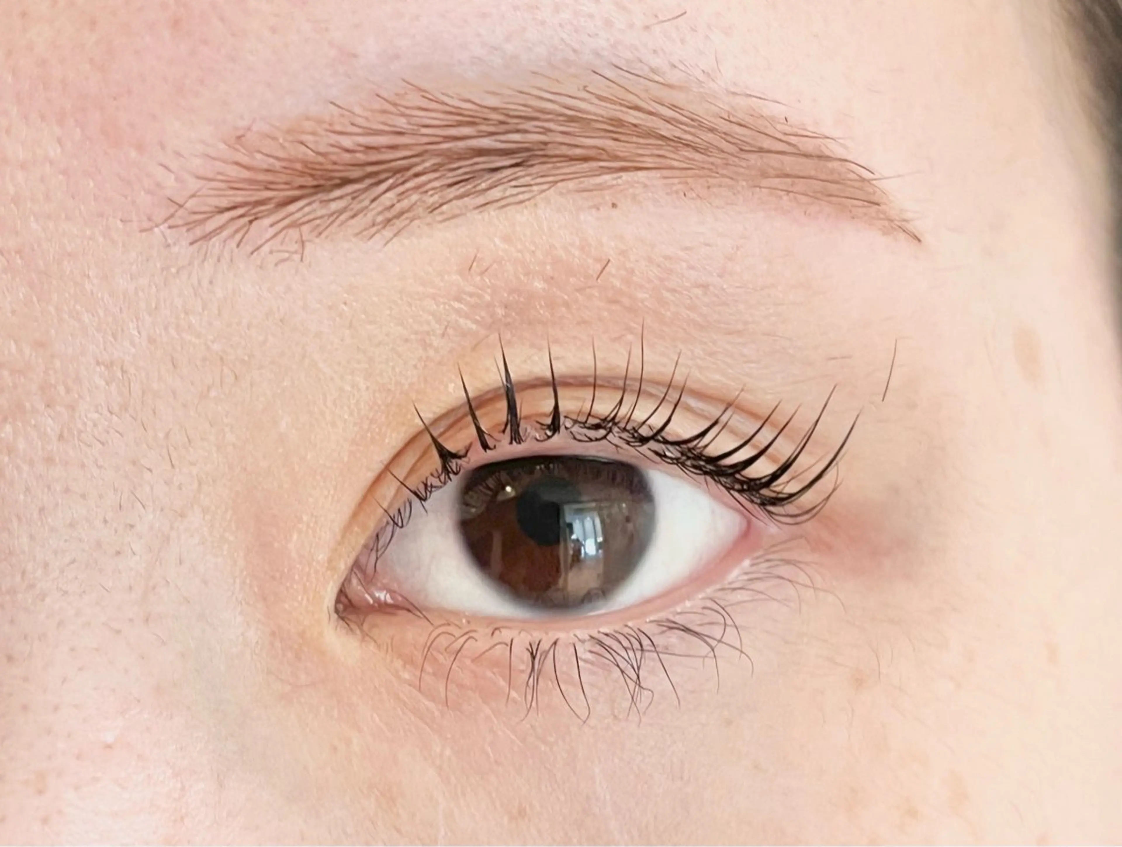 マツエク・マツパ noll【今池駅前】 池田碧花のヘアスタイル