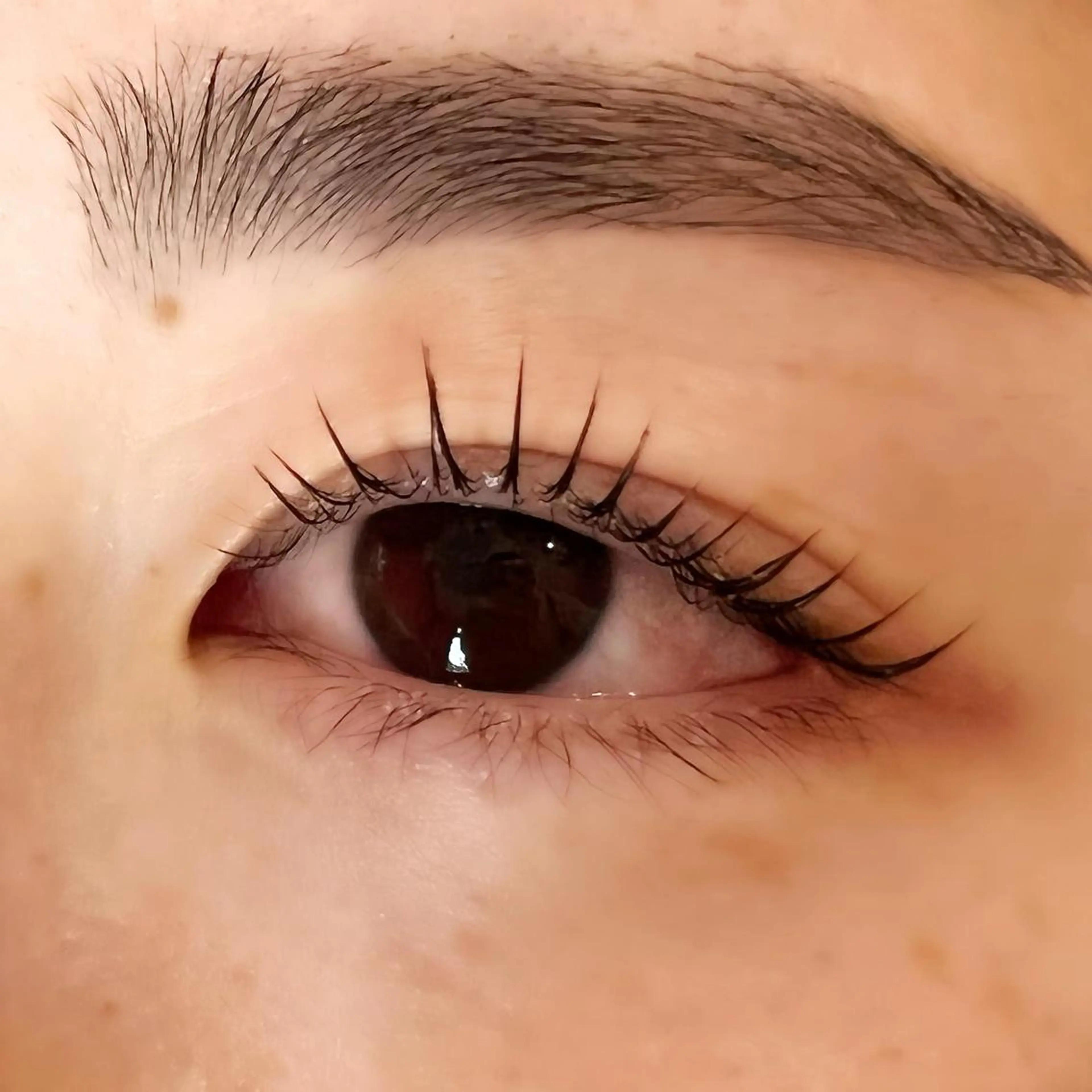 マツエク・マツパ Celeste Venus所属・🧸Celeste Venusのマツエク・マツパデザイン