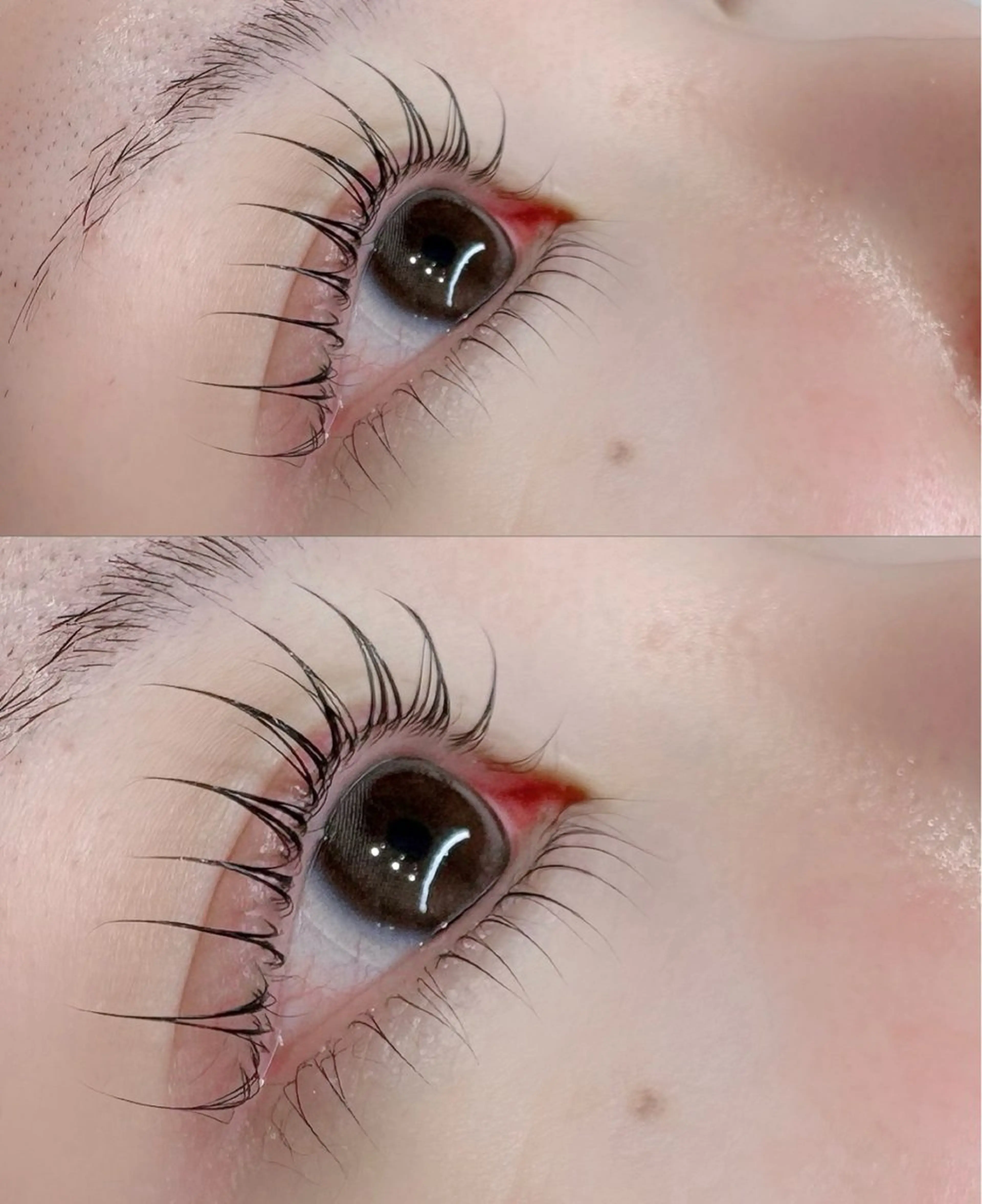 🍒パリジェンヌラッシュリフト🍒まつ毛パーマ🍒メーテルラッシュリフト🍒の写真