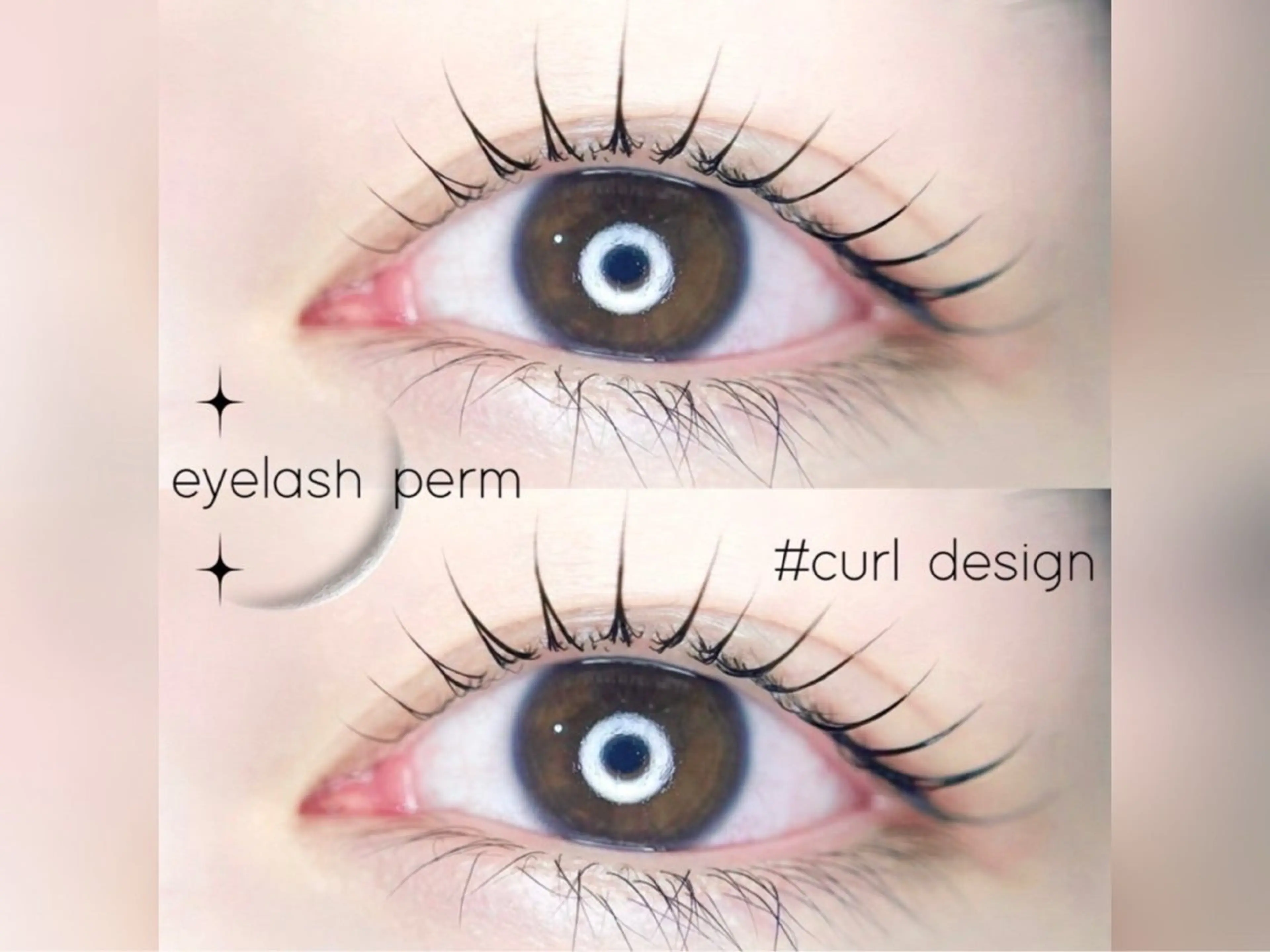 【U24限定🌱】上のみ似合わせまつげパーマ（ケア付）¥5000→¥3000の写真