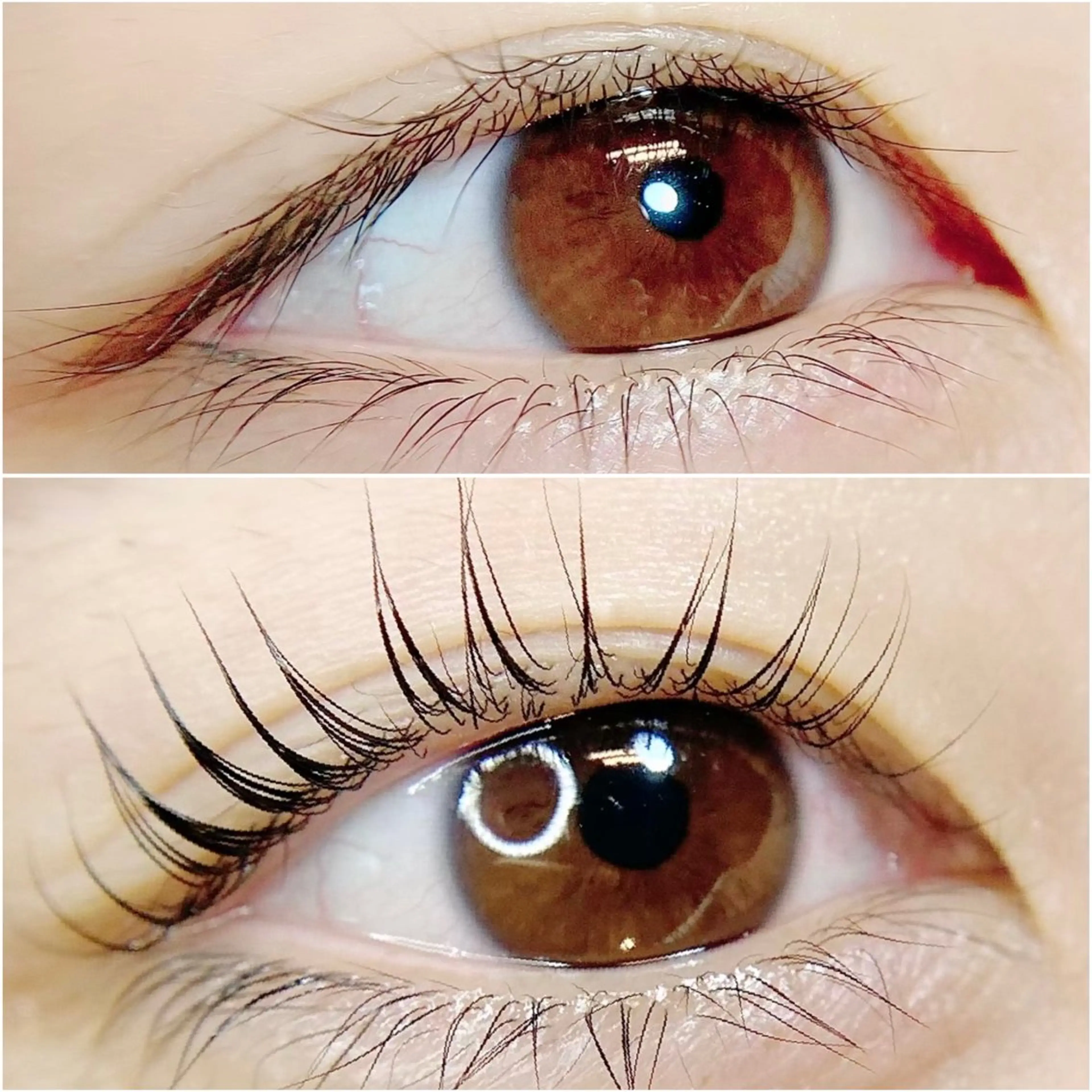 4月限定！ラッシュリフト(まつげパーマ) ¥3,500の写真