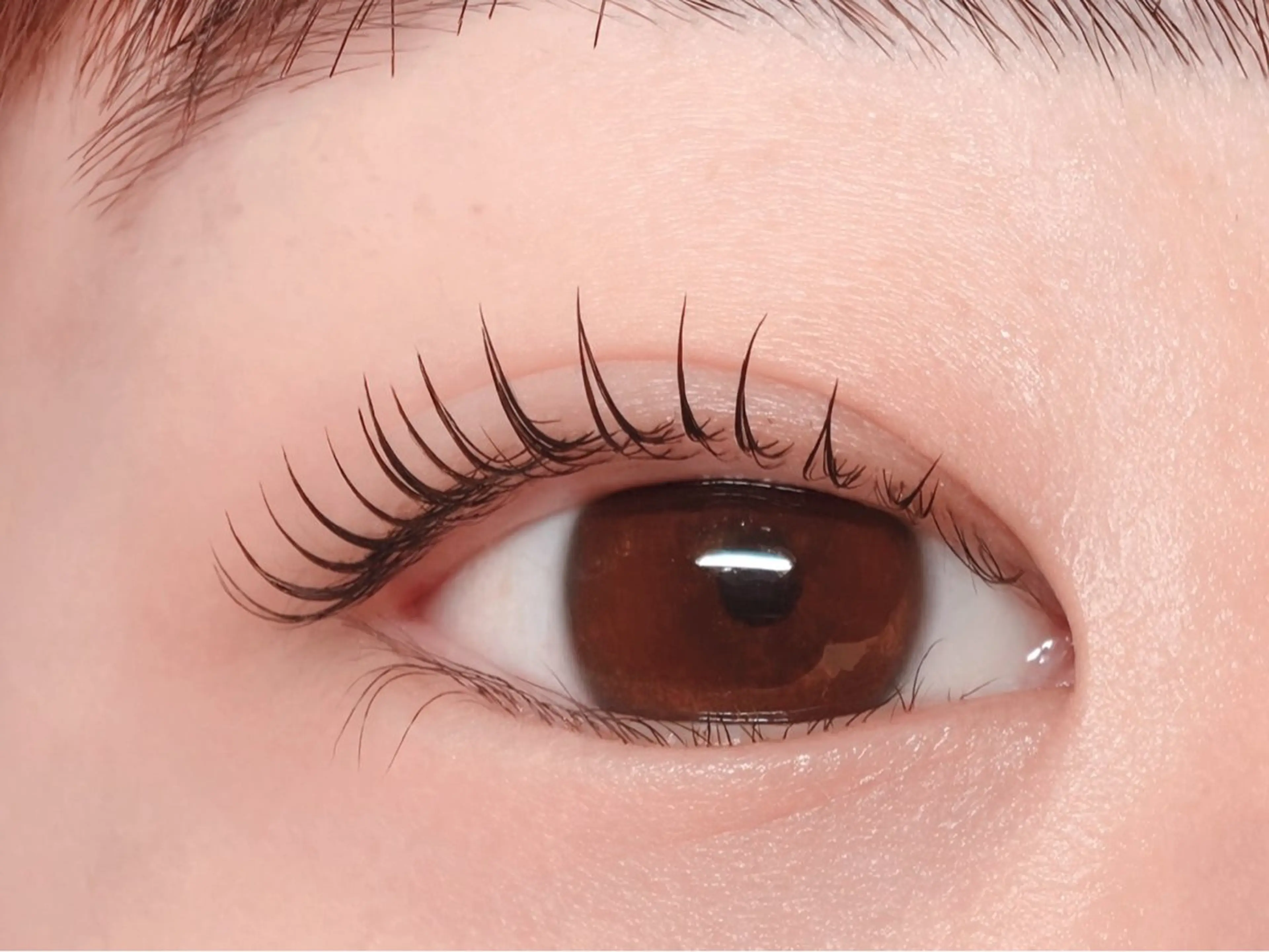 マツエク・マツパ Melia Chieのマツエク・マツパデザイン