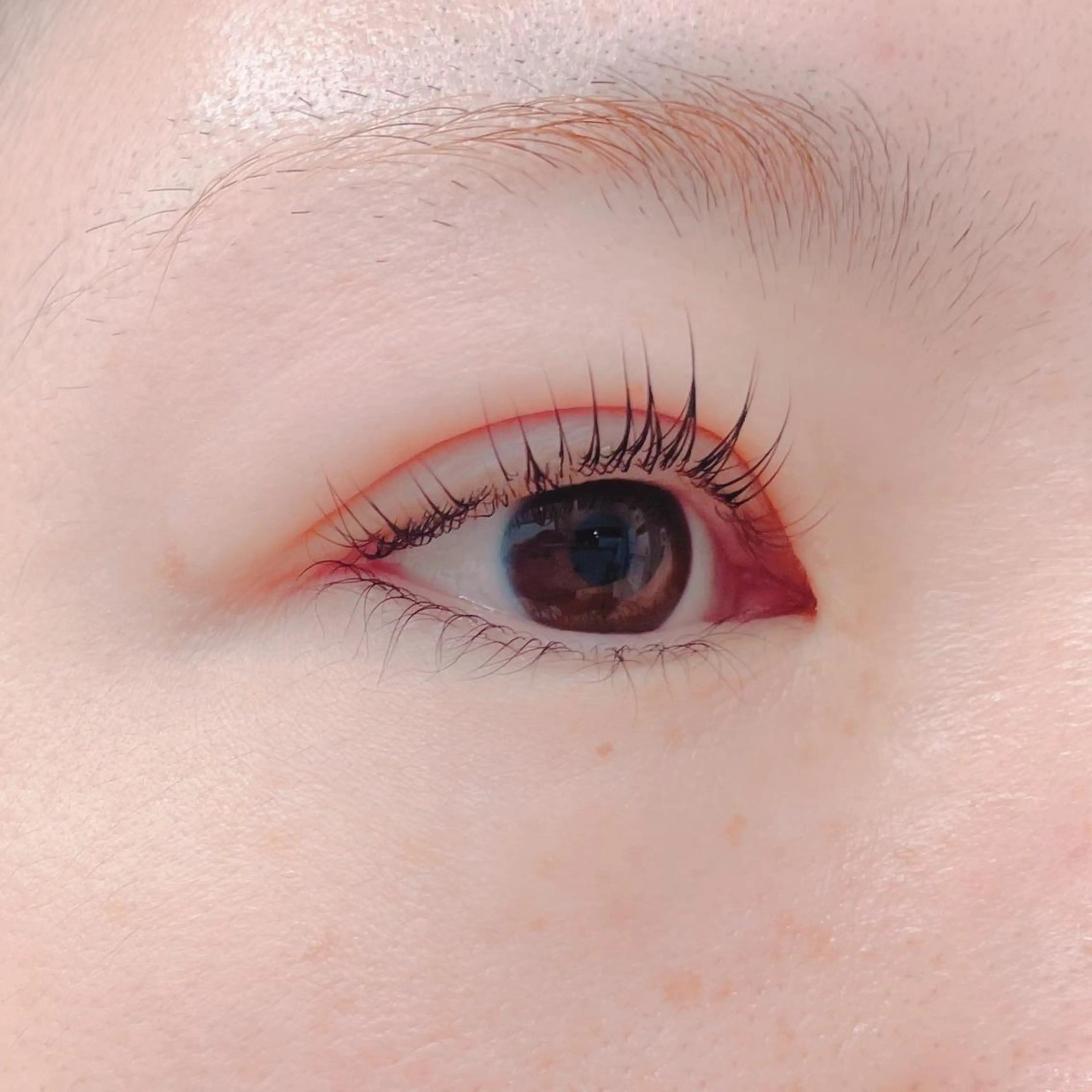 マツエク・マツパ マツパ blanca🌺 mayu(東白楽)の眉毛・アイブロウイメージ