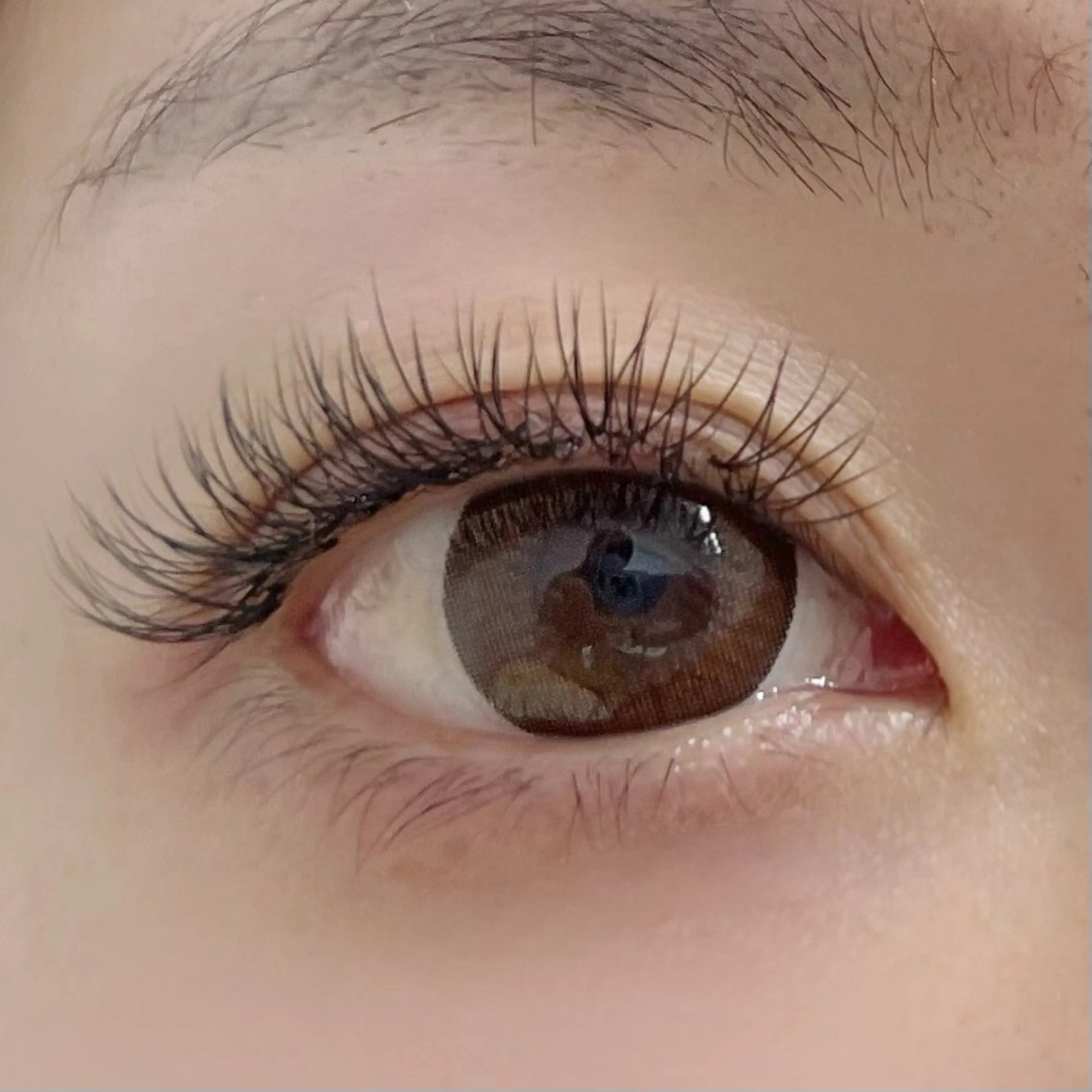 マツエク・マツパ フラットラッシュ マツエク Atelier AIHA所属・アトリエ AIHA 京橋店のマツエク・マツパデザイン