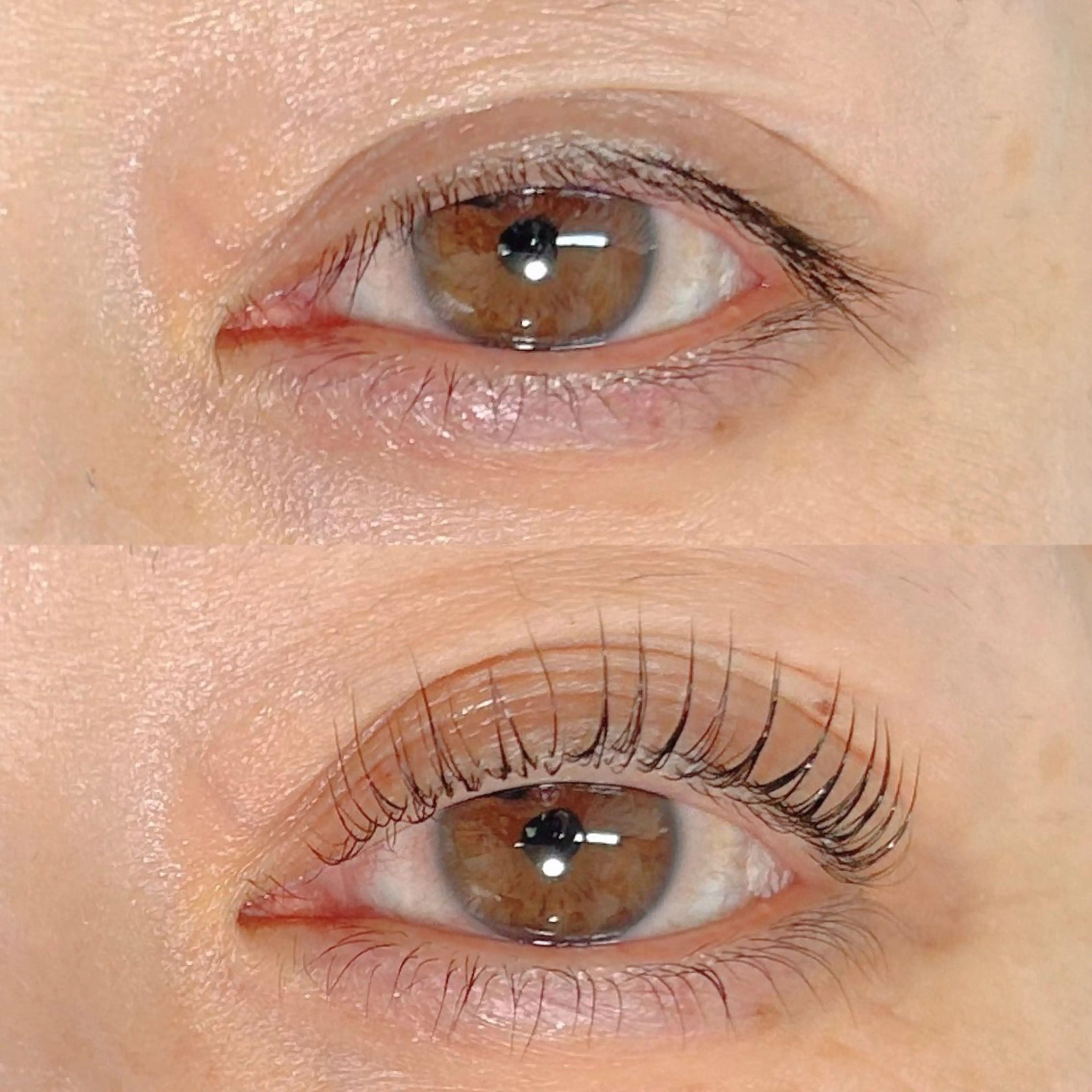 ãããšã¯ã»ããã ããã ððŒððð ððžðâã®ãããšã¯ã»ããããã¶ã€ã³