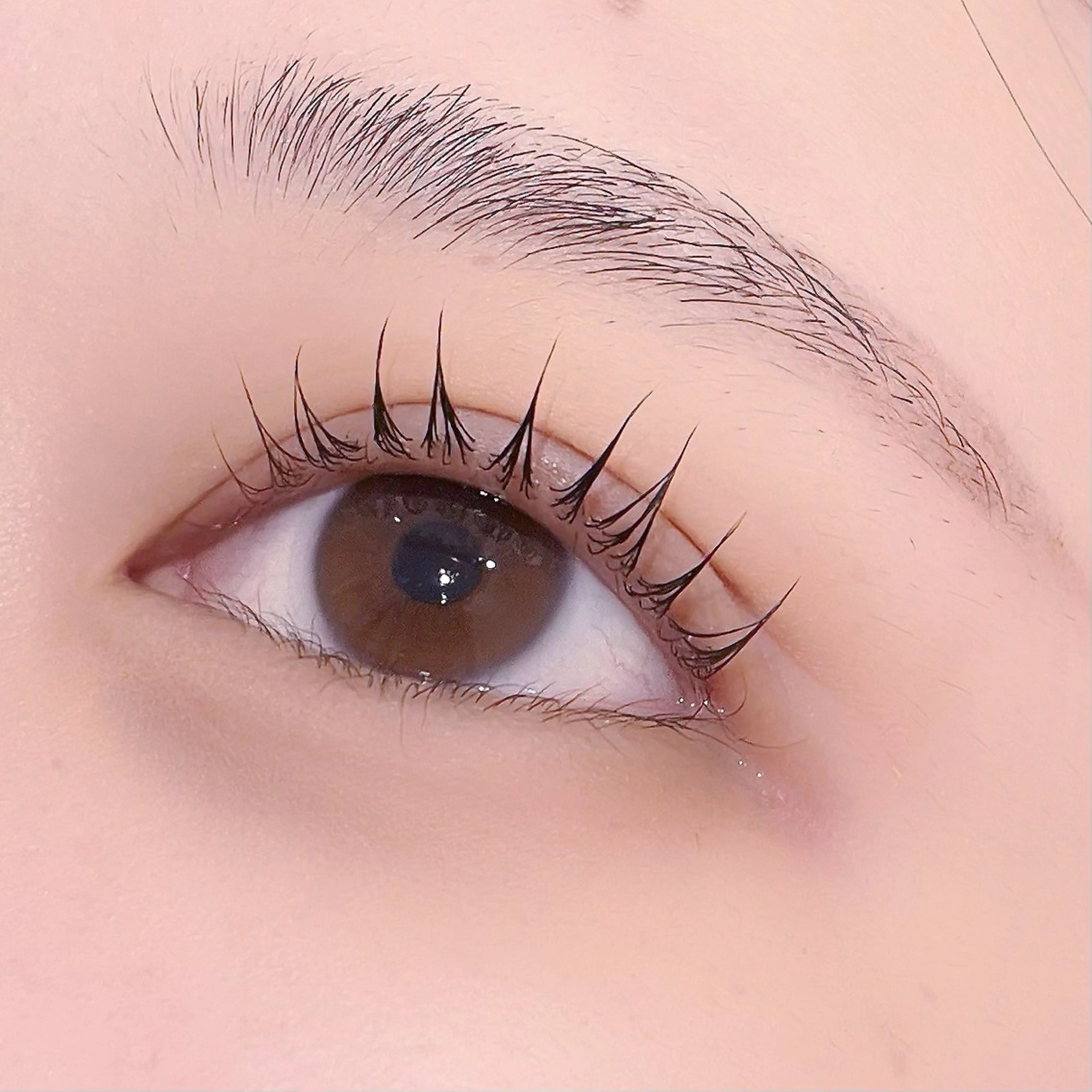 マツエク・マツパ マツパ pono大宮東口店 店長🩰AOHA🩰のマツエク・マツパデザイン