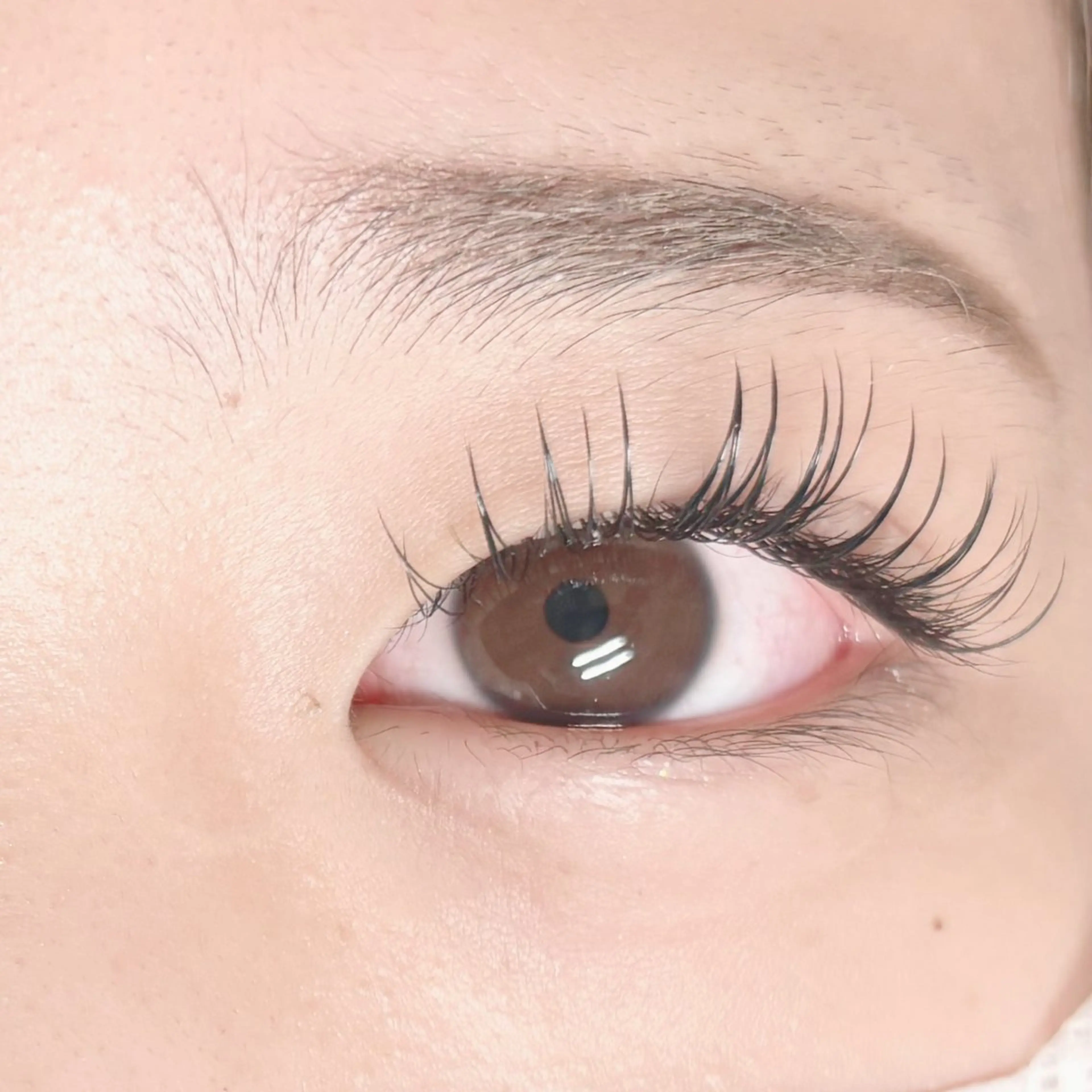 マツエク・マツパ 付け放題 フラットラッシュ マツエク PINO nail&eyeのマツエク・マツパデザイン