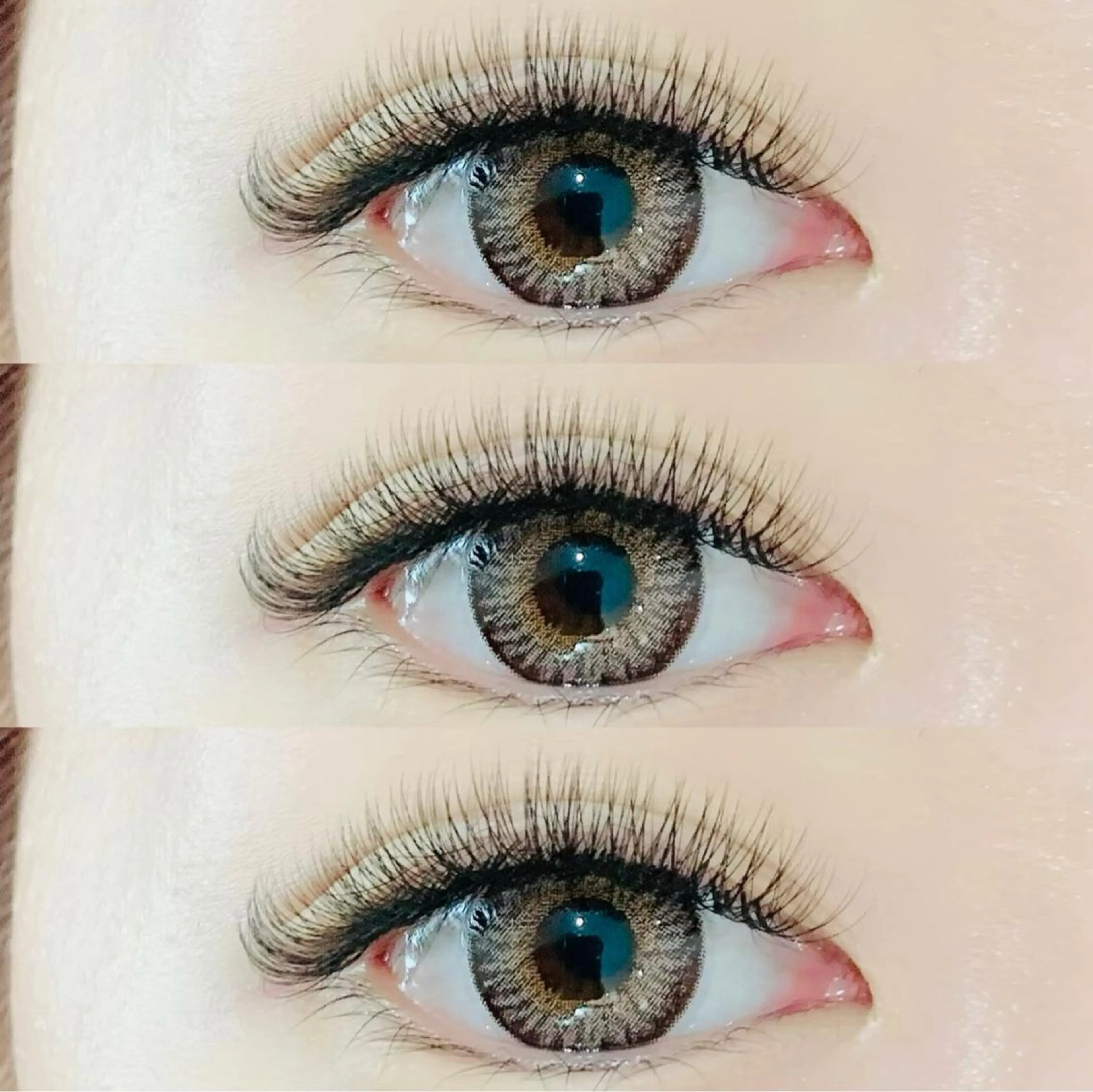 ボリュームラッシュ500本《オフの有無をお知らせください》の写真