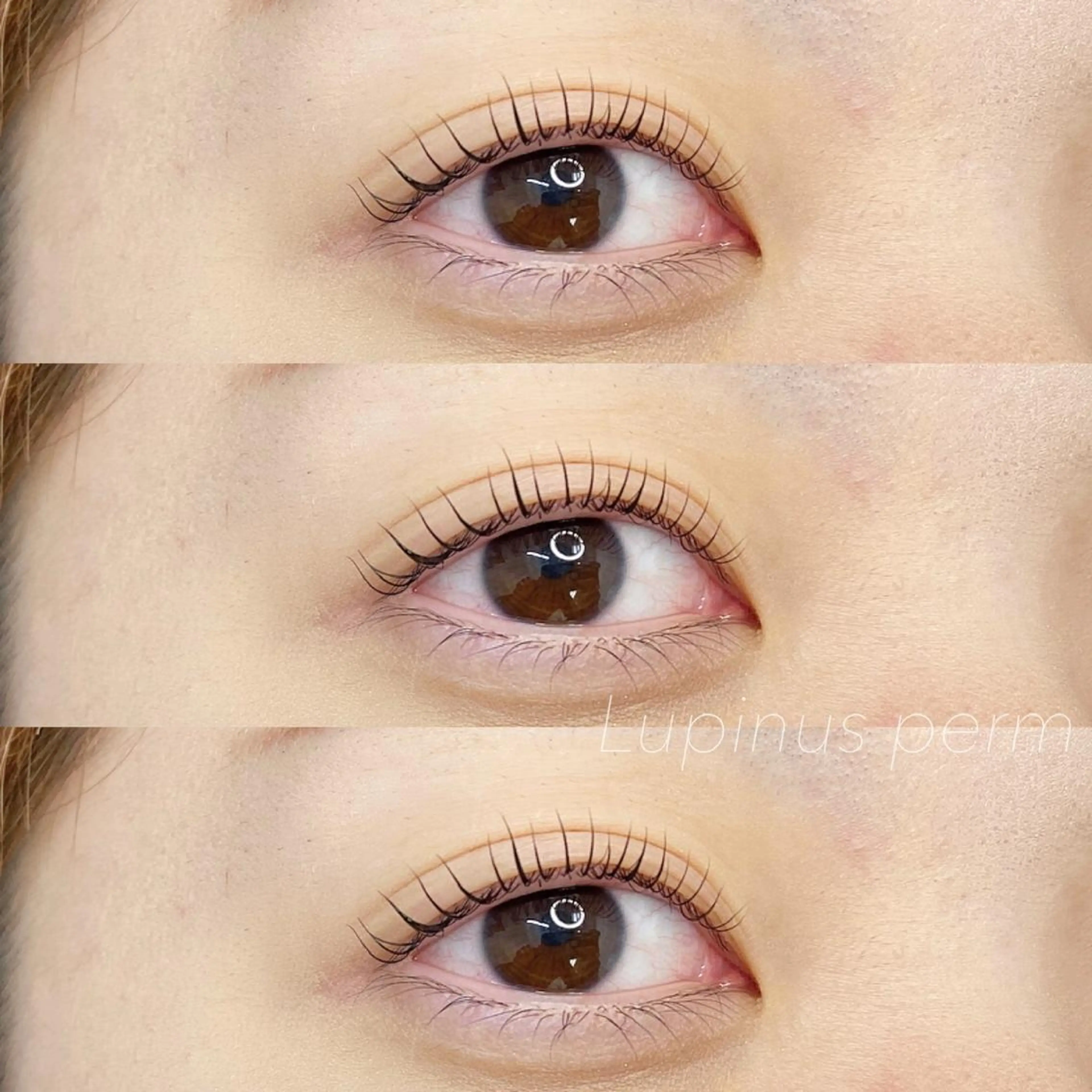 マツエク・マツパ LAND【ランド】 小鹿のマツエク・マツパデザイン