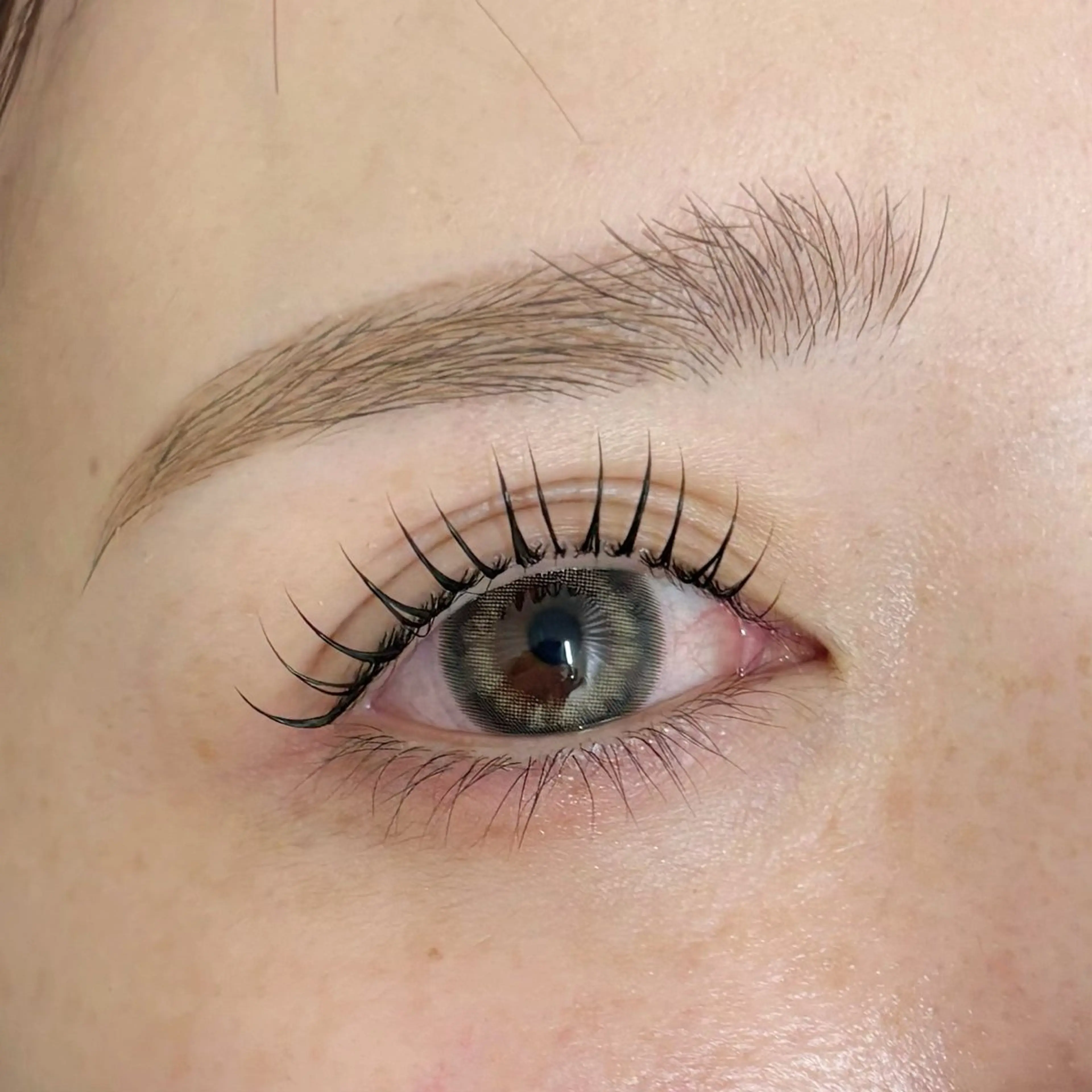 ラッシュリフト+アイブロウスタイリング(まつ毛にビューラー、マスカラはせずにお越しください)の写真