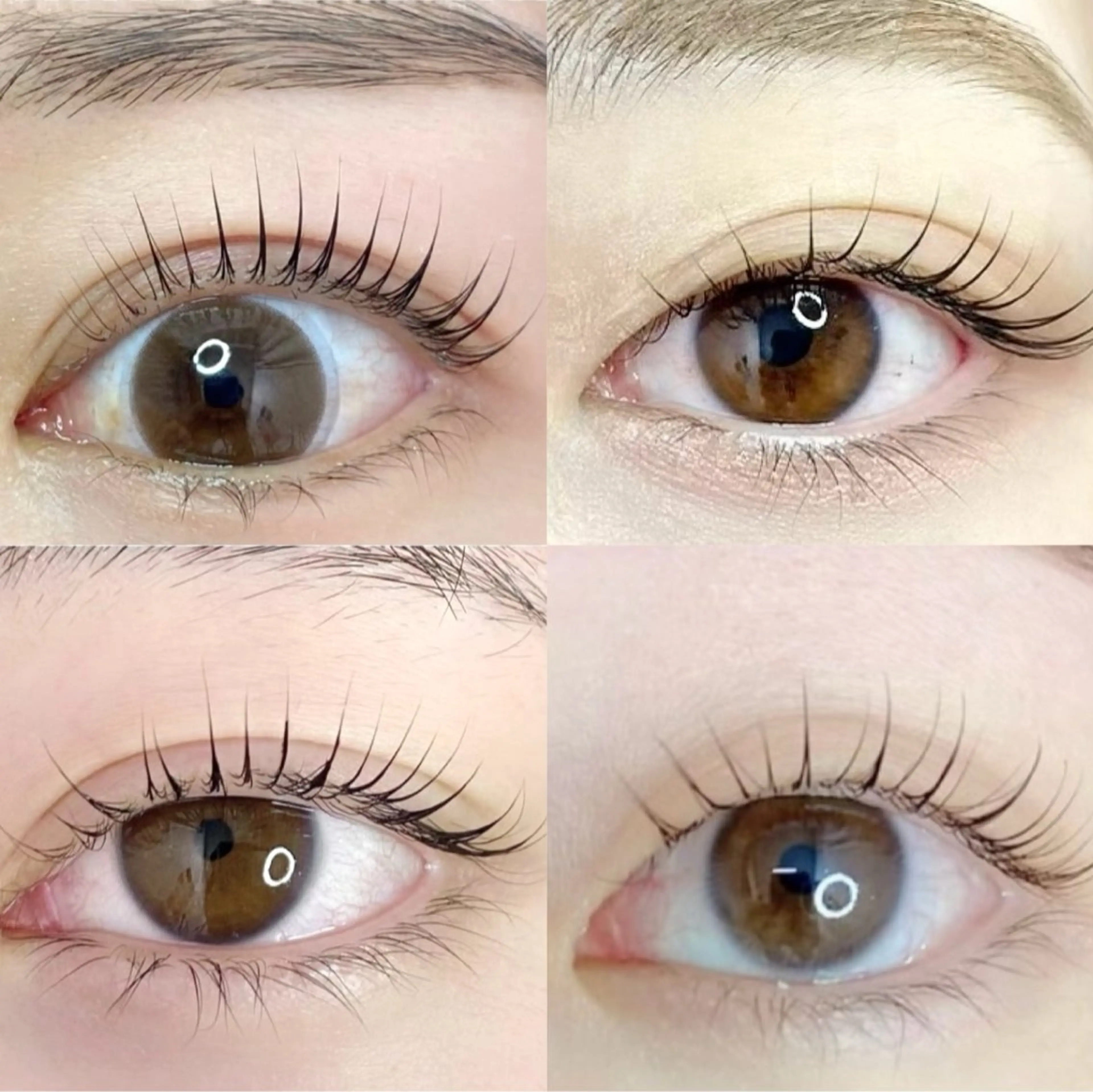 マツエク・マツパ まつげパーマ Blanc梅田茶屋町 【期間限定特別価格】の眉毛・アイブロウイメージ