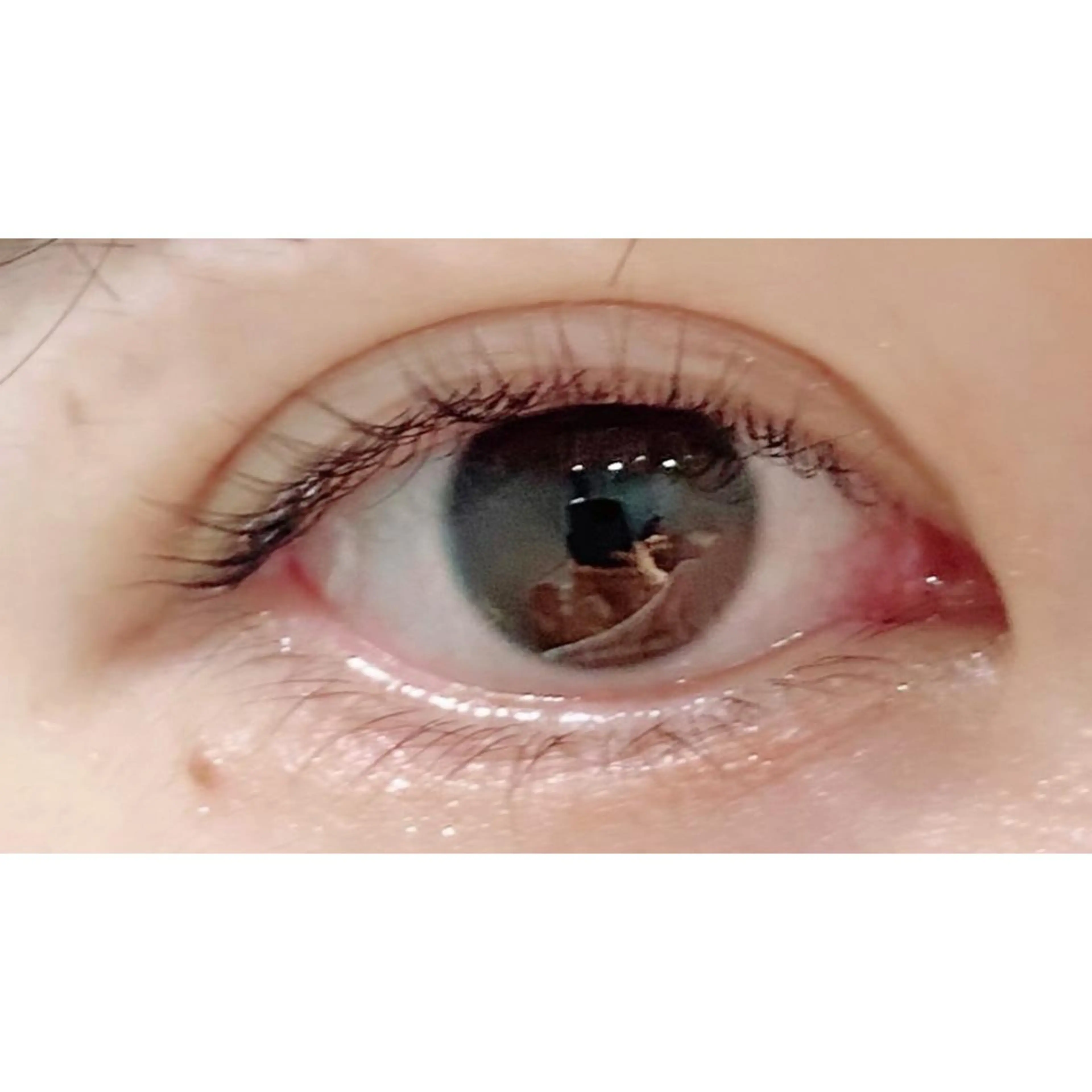 マツエク・マツパ パリジェンヌラッシュリフト Bianca 長津田店　長牛の眉毛・アイブロウイメージ