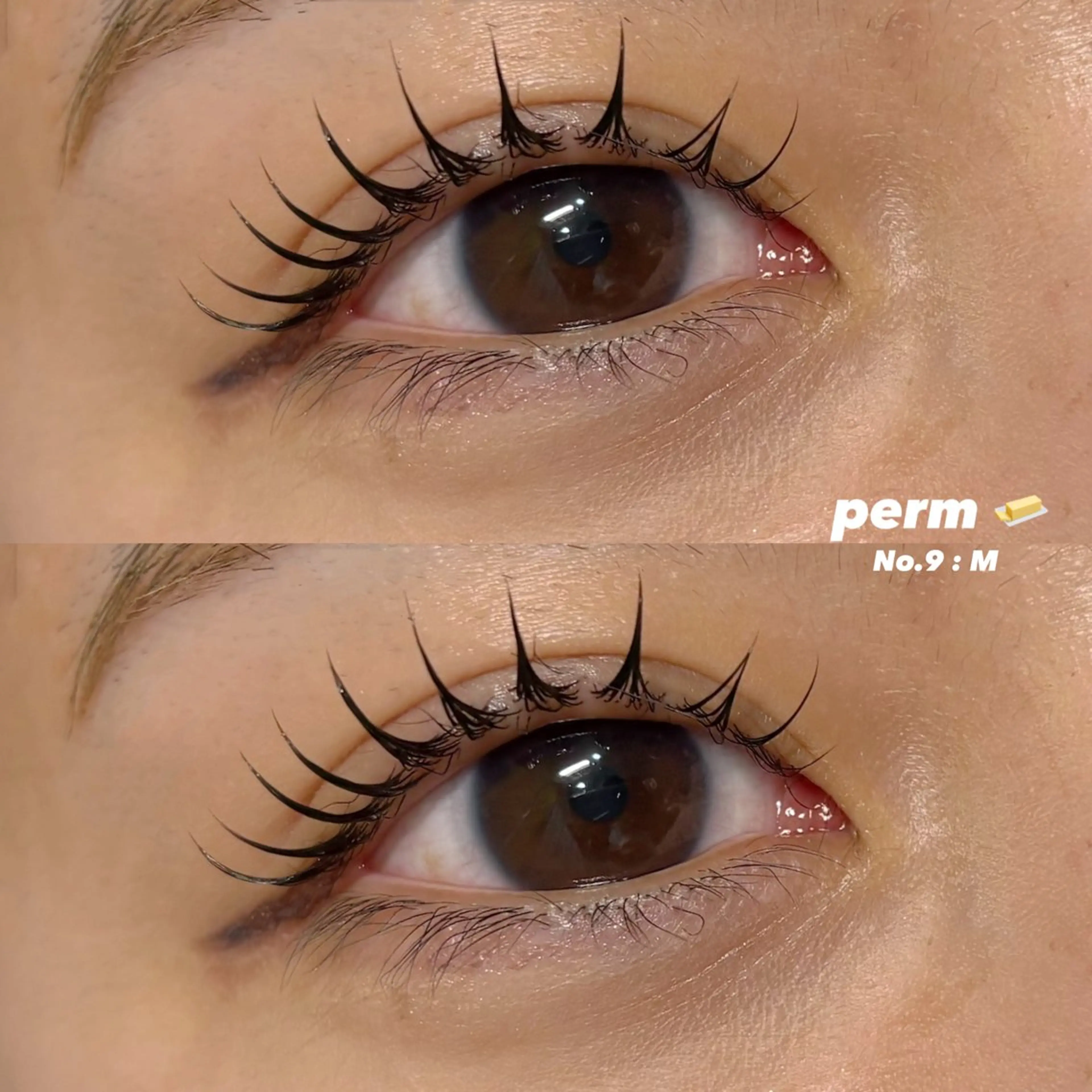 🇰🇷韓国発✨ブラックティントマスカラパーマ➕パリジェンヌ✨まつ毛を最大限に長く濃く栄養補給も!の写真