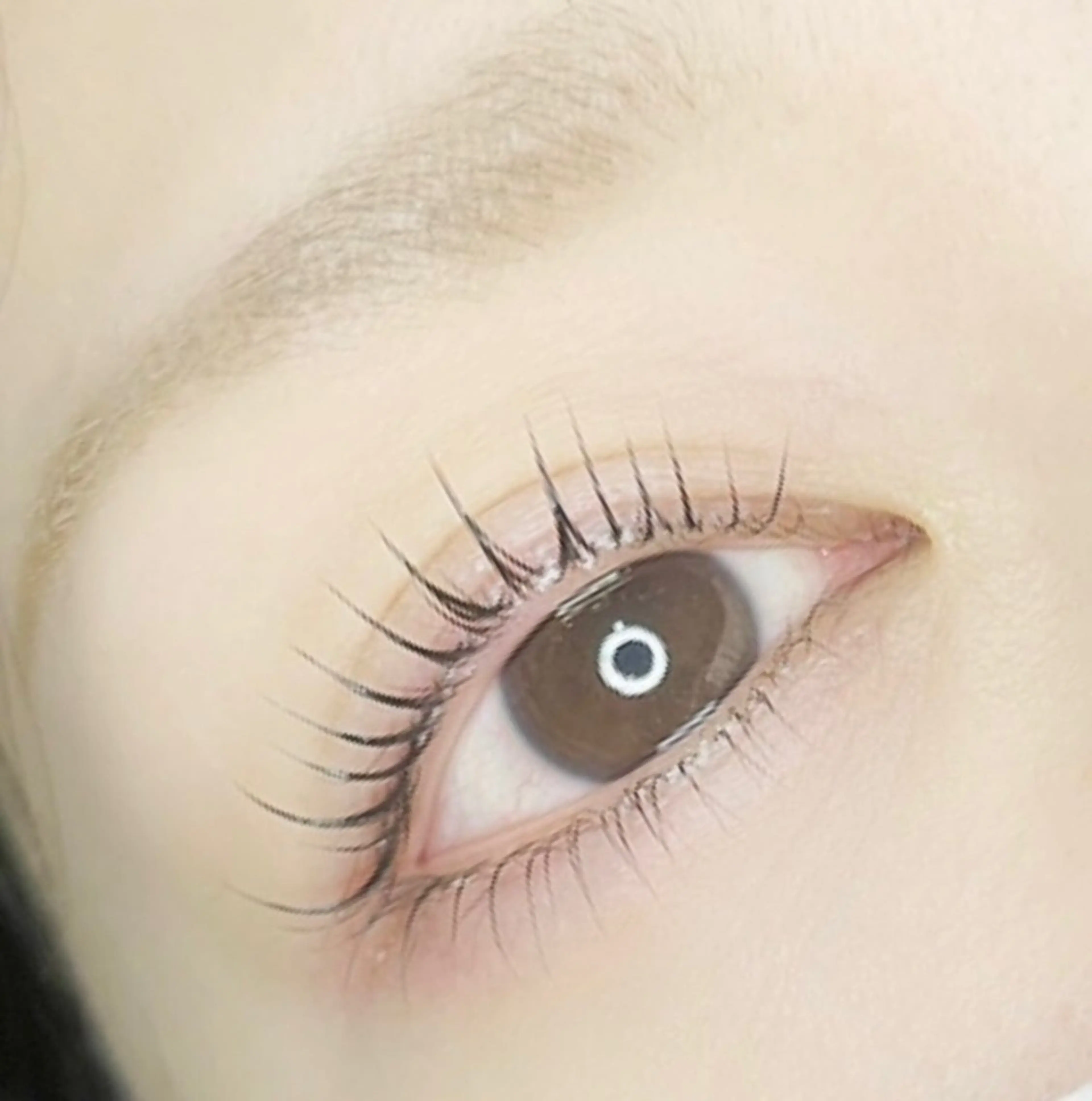 【平日限定🤍】ドールリフトマツゲパーマ上下¥6600の写真