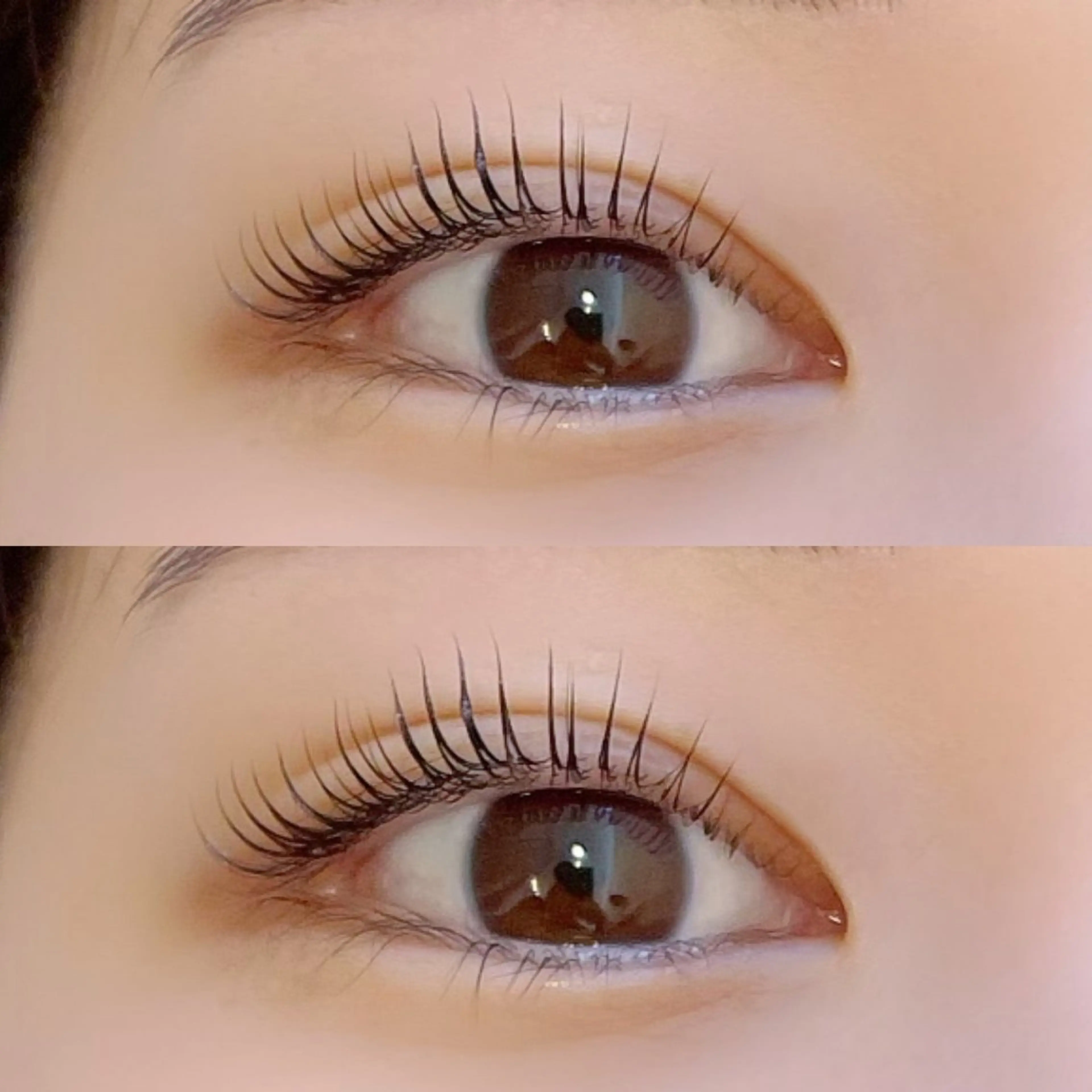 マツエク・マツパ Raure'a Yurikoのマツエク・マツパデザイン