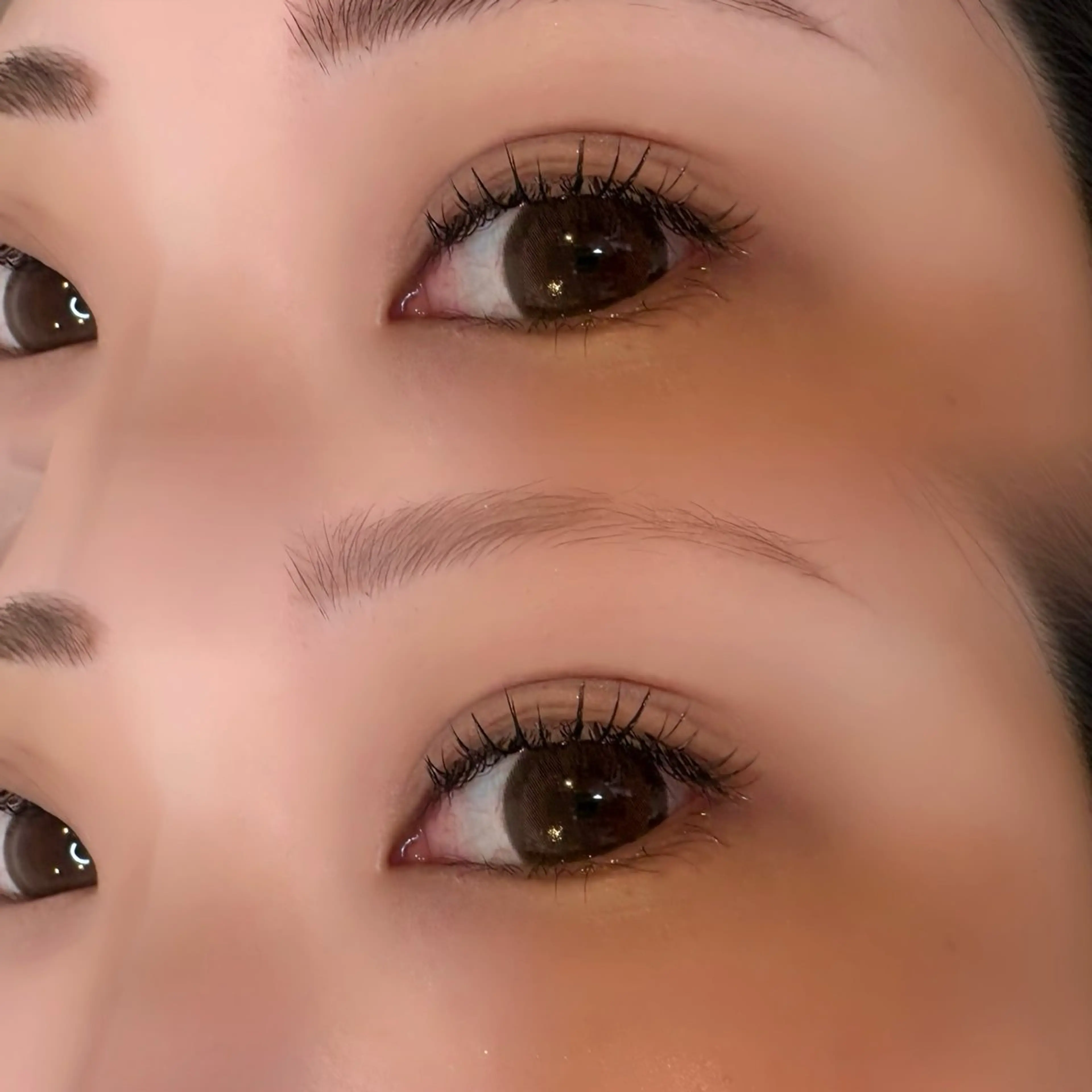 フラットラッシュ100本の写真