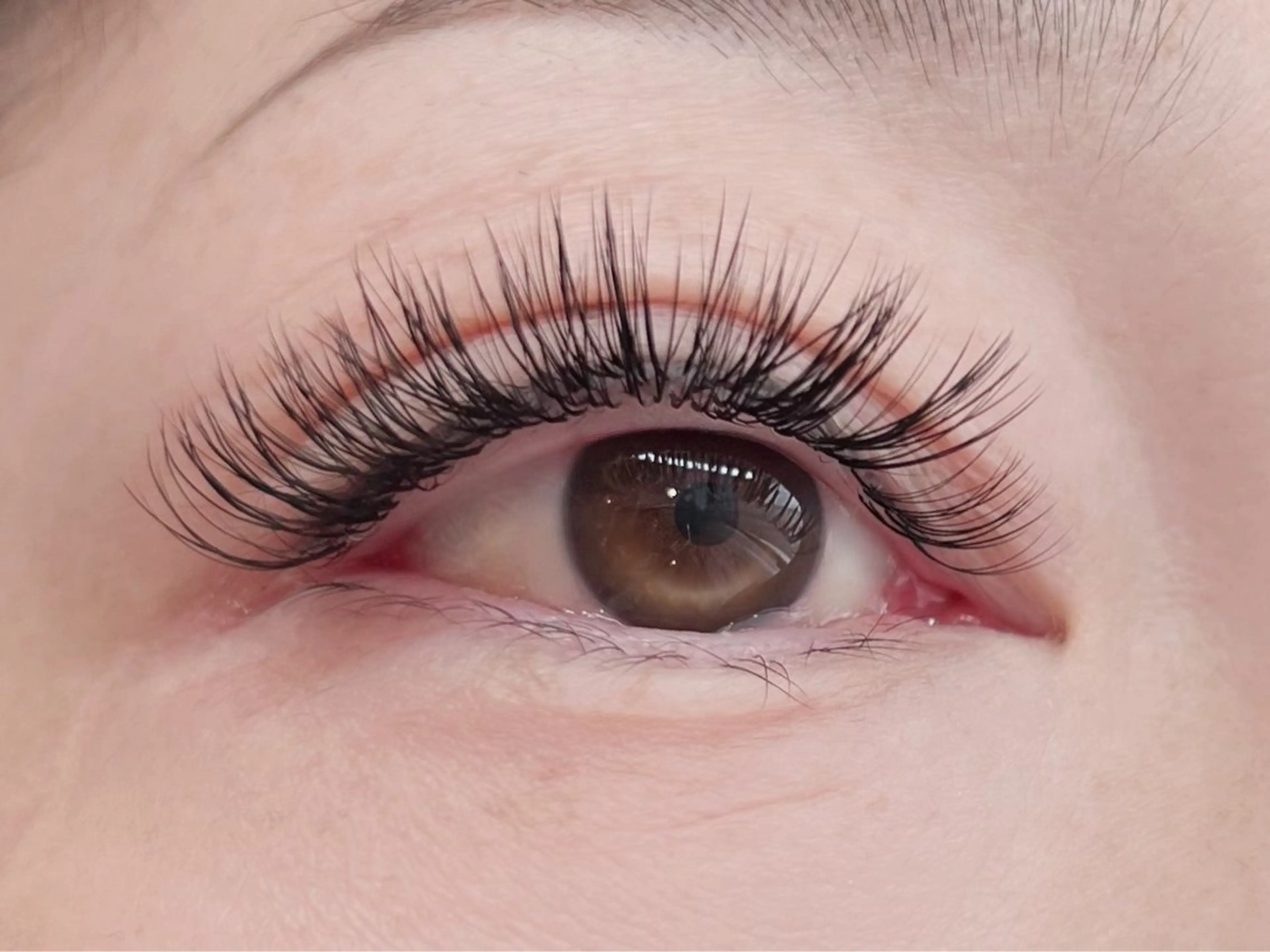 フラット×ボリュームラッシュMIX✨160束【オフ別途】¥9000の写真