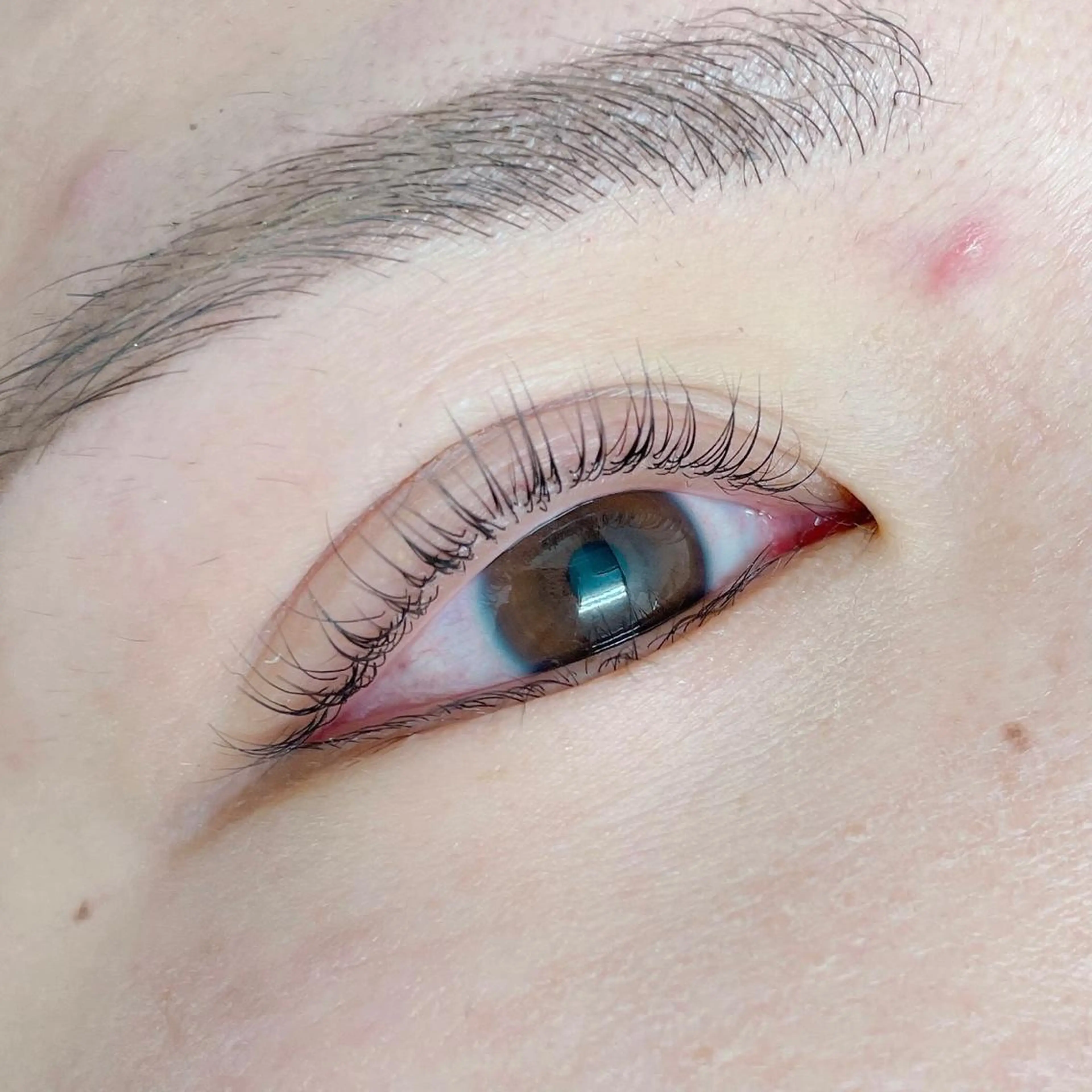 マツエク・マツパ 村田 さやかの眉毛・アイブロウイメージ