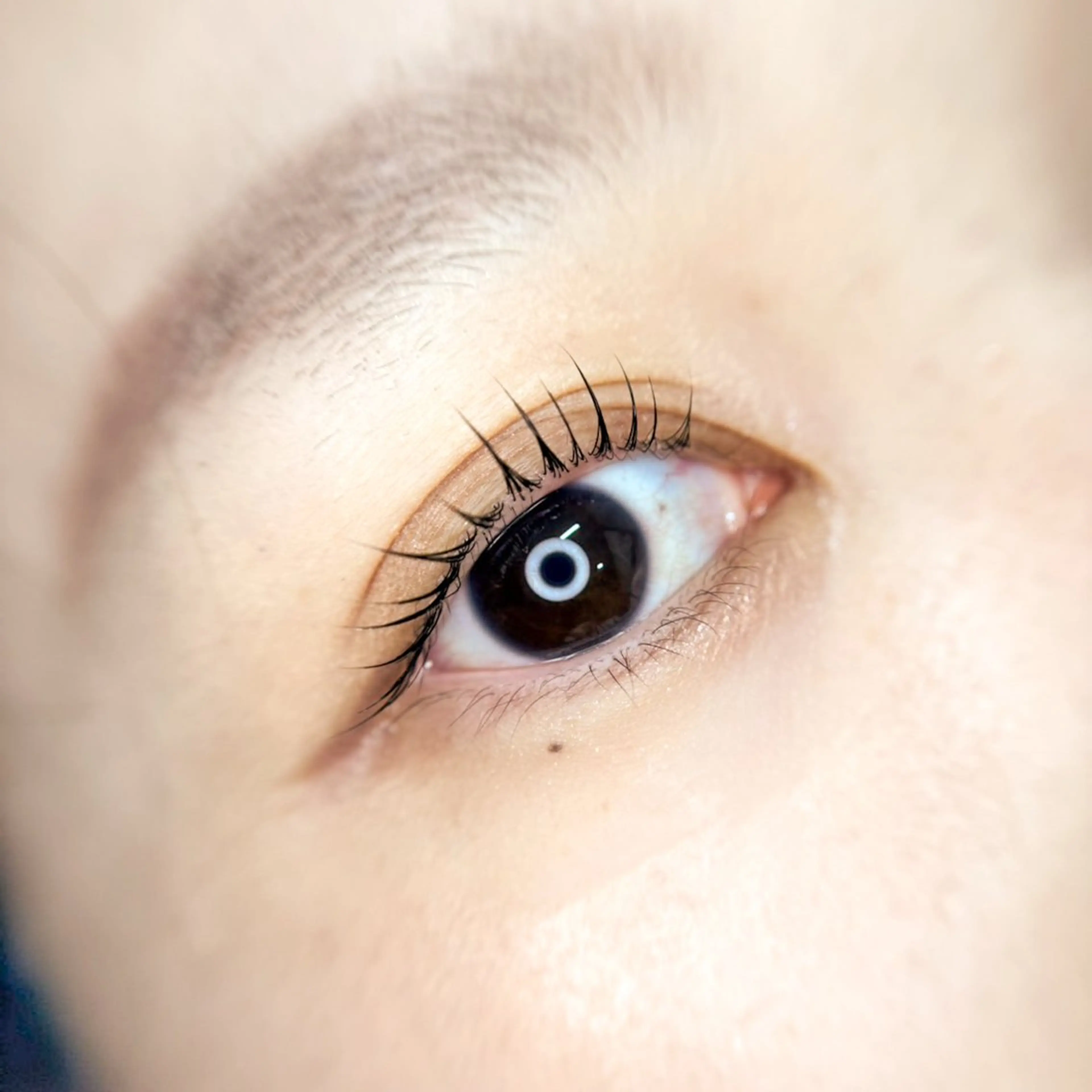 マツエク・マツパ eyelash Ap.maiのマツエク・マツパデザイン