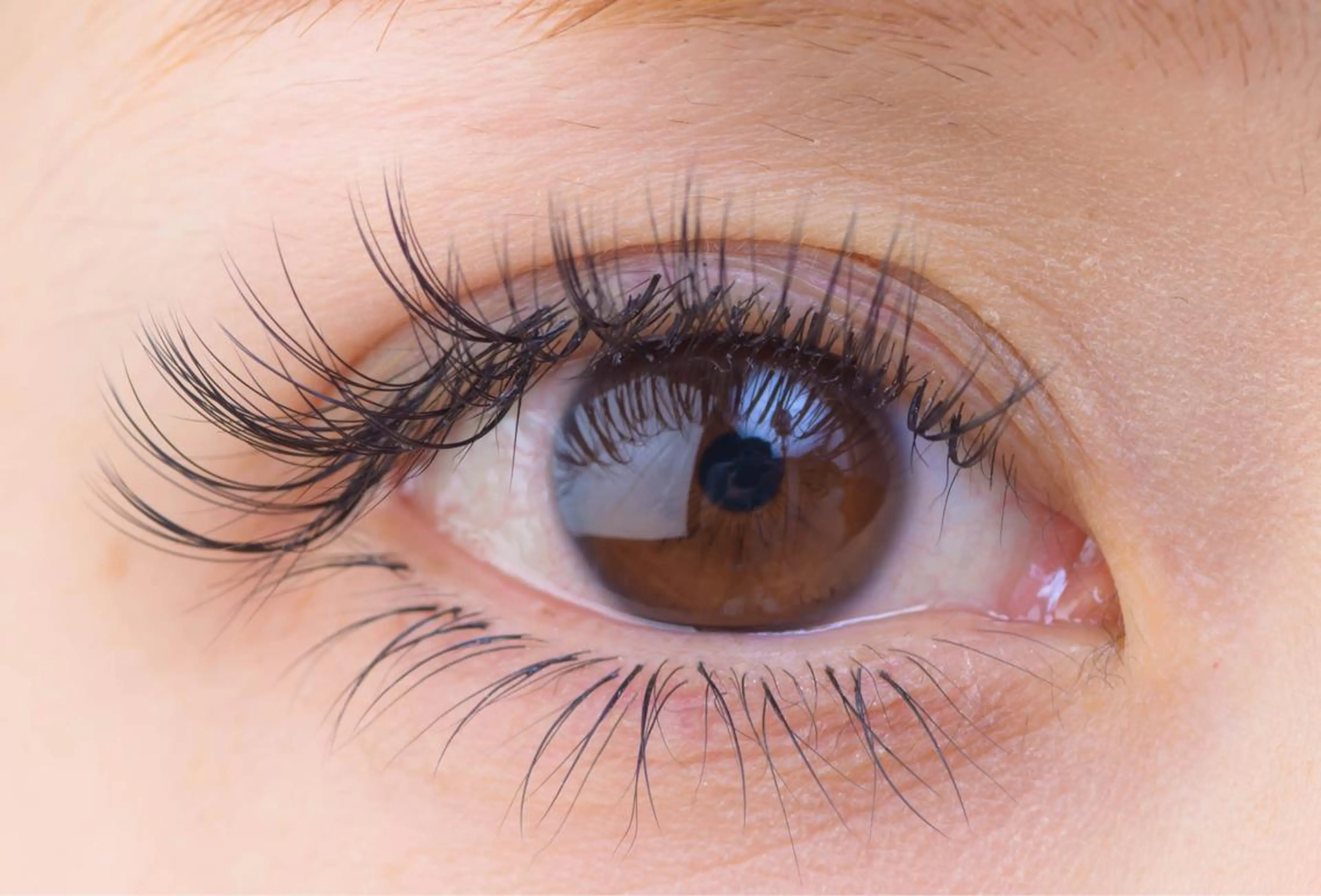 マツエク・マツパ ボリュームラッシュ 🫧eyesalon Fair  横浜店のマツエク・マツパデザイン
