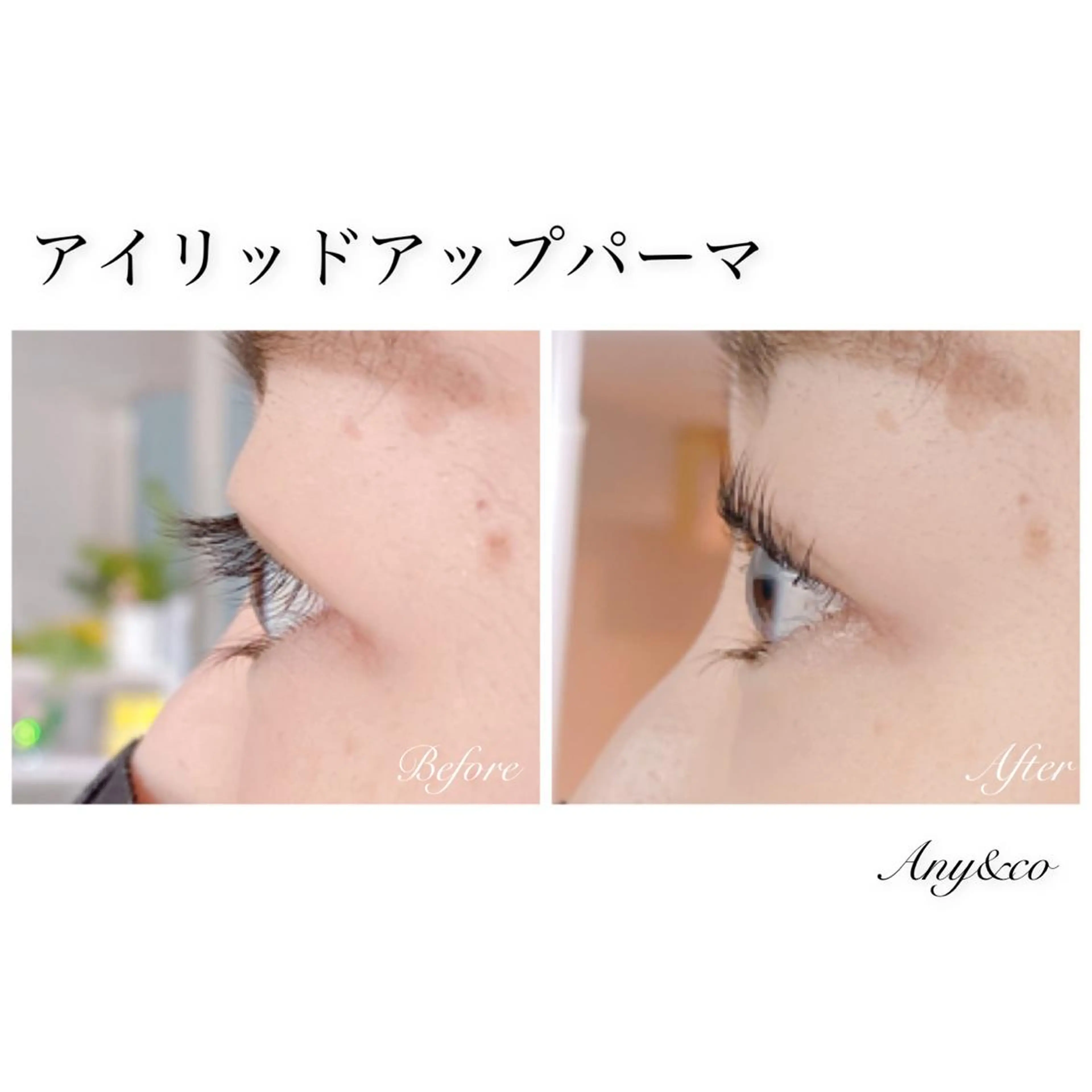 🖤特別価格🖤アイリッドアップパーマ (まつ毛パーマ)トリートメント付の写真