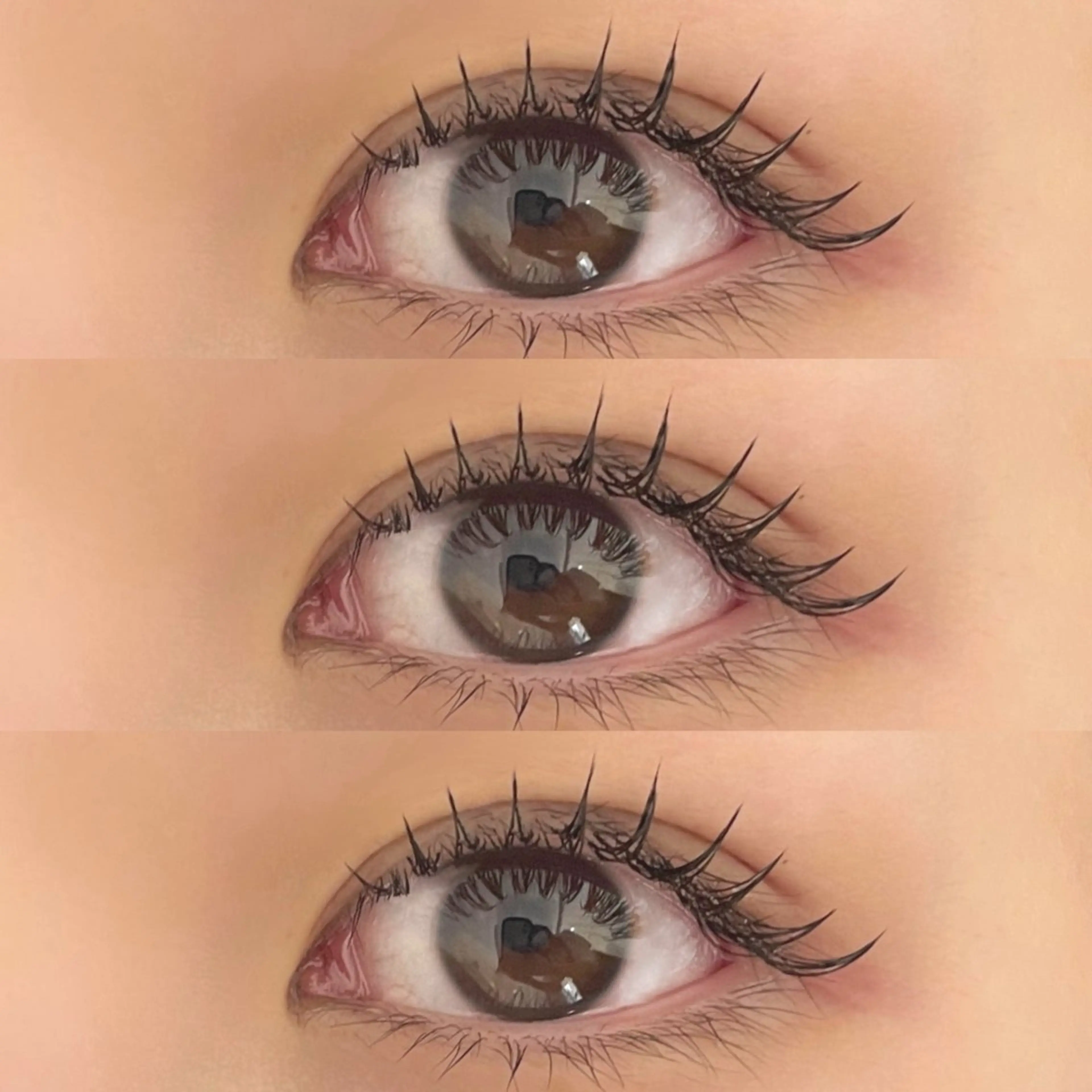 【当日限定メニュー𖤐ˊ˗】コーティング込みの写真