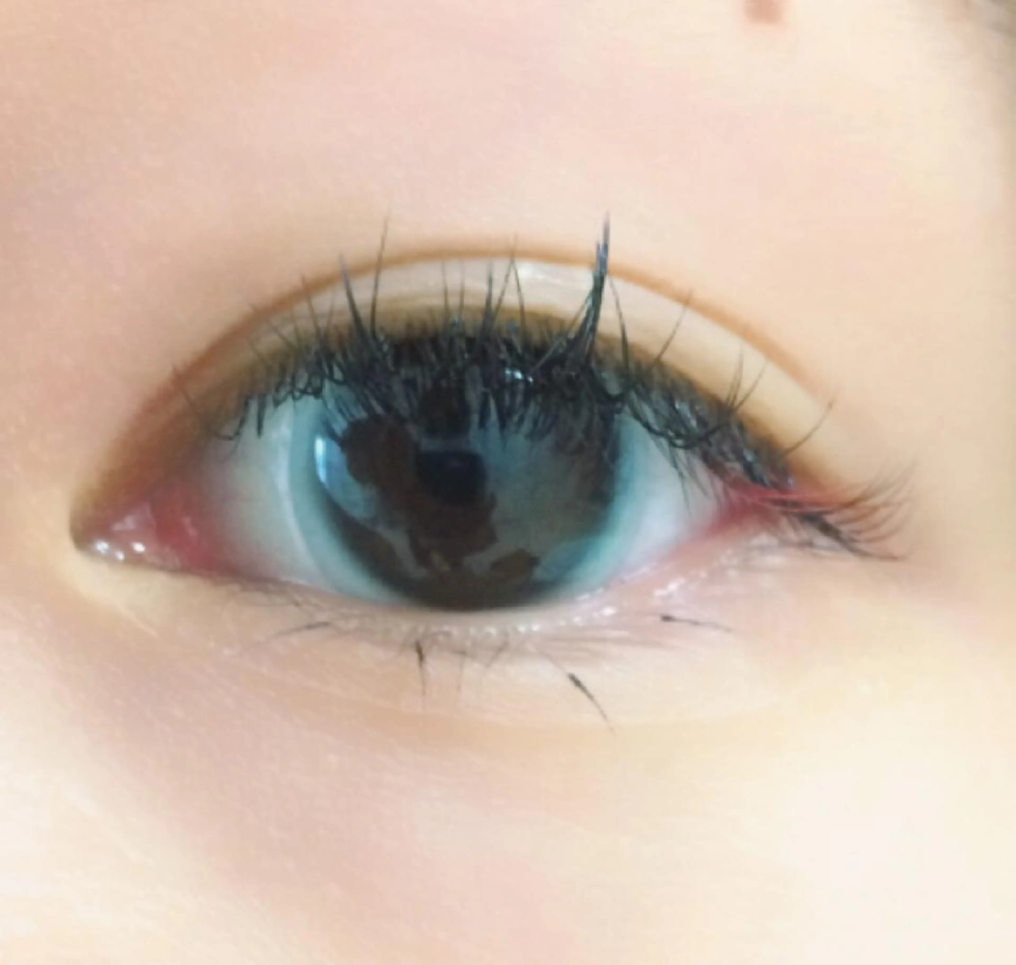 マツエク・マツパ カラーマツエク Allybell🫧 Annaのマツエク・マツパデザイン