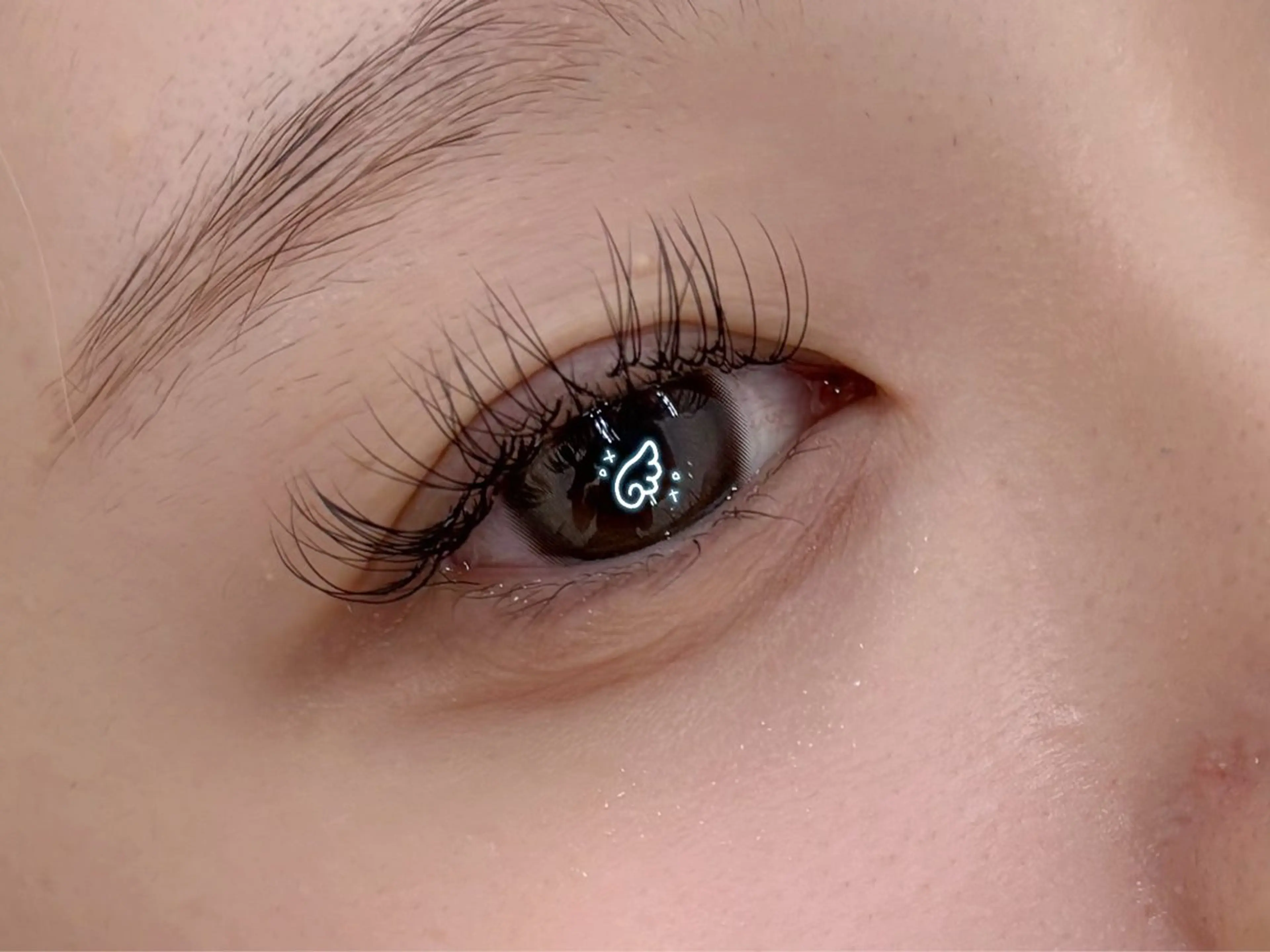 マツエク・マツパ Dカール セーブル MAXKELLY渋谷 AIKAのマツエク・マツパデザイン