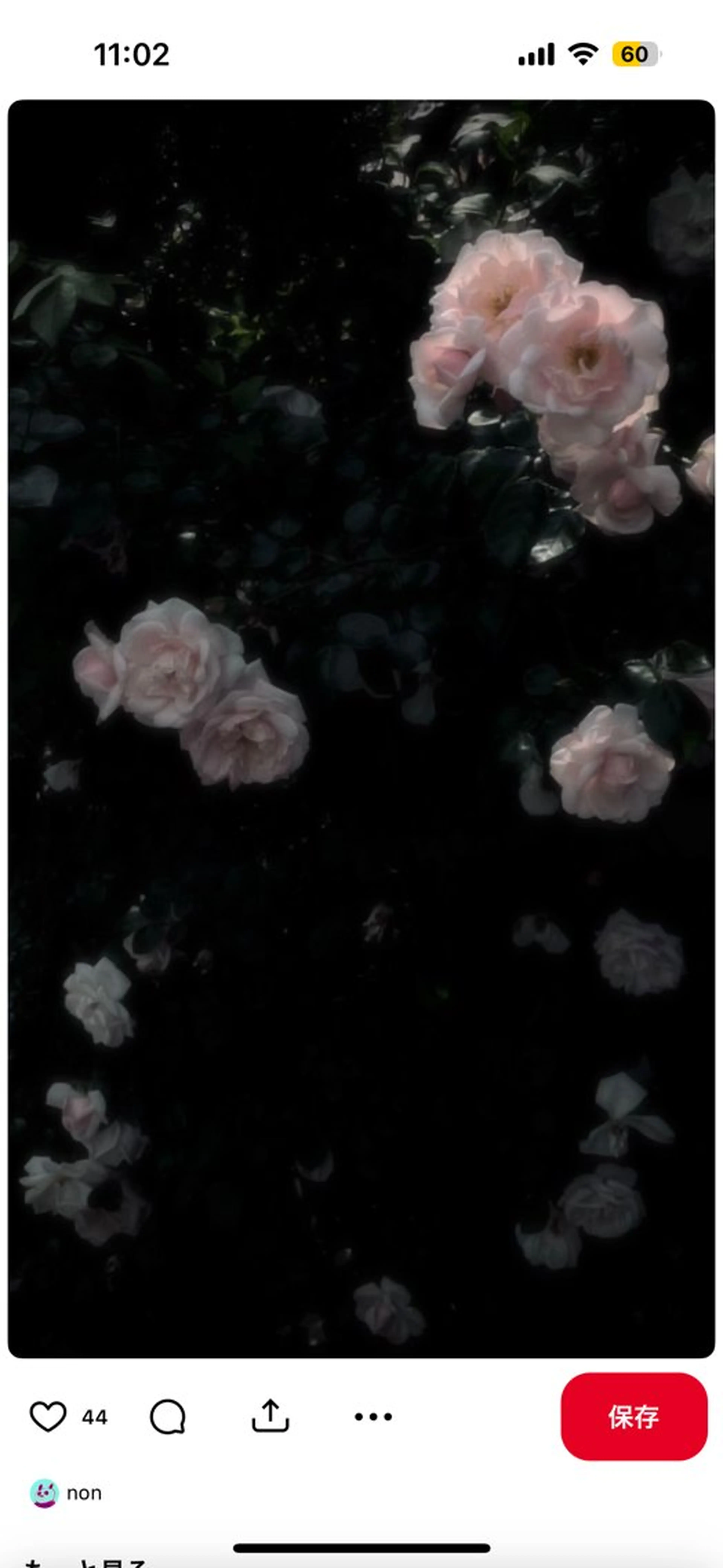 ショート メンズ メンズカットモデル 募集中🌟しおんのヘアスタイル