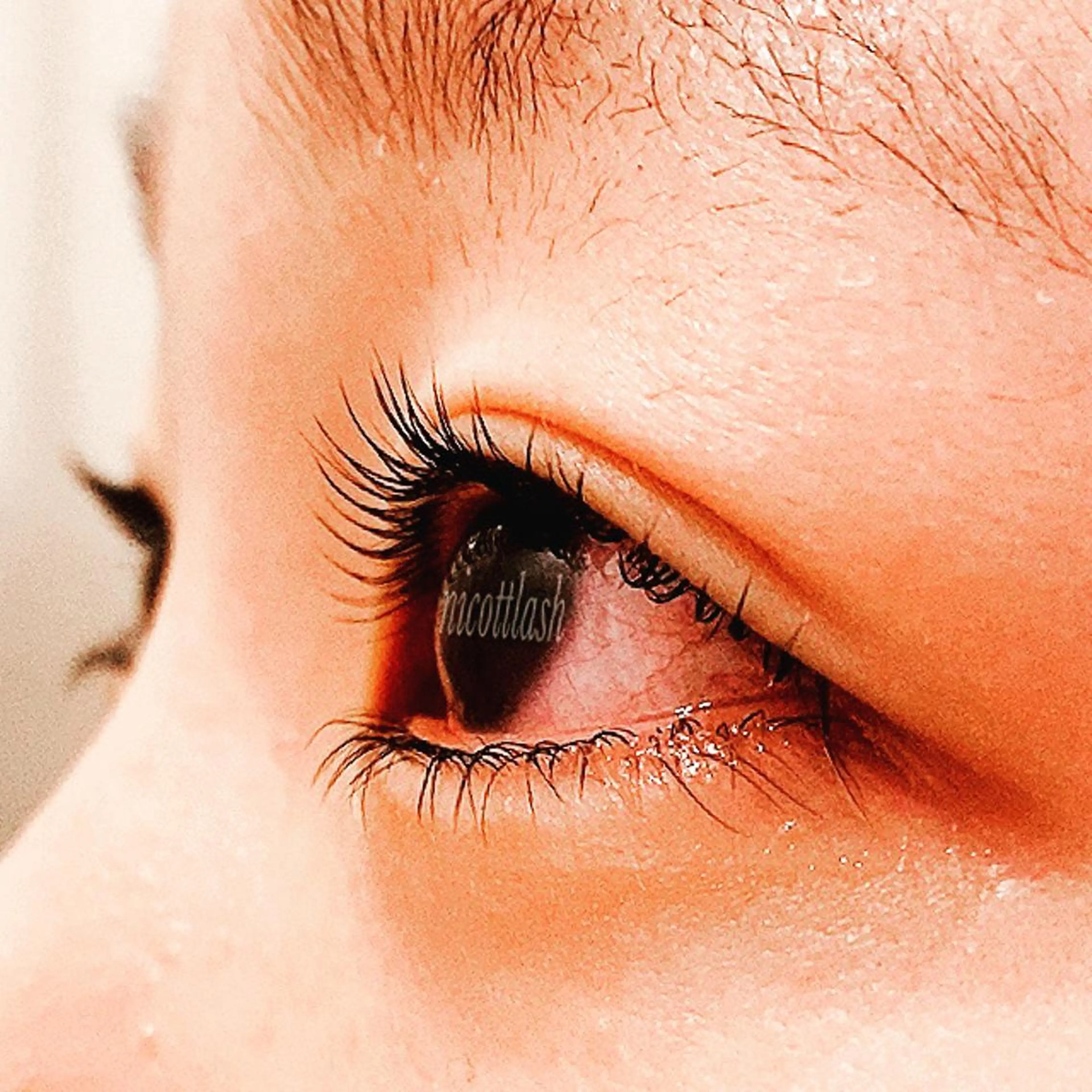 マツエク・マツパ パリジェンヌラッシュリフト まつげパーマ 下まつげエクステ アイニコ第1ビル 渡邊のマツエク・マツパデザイン